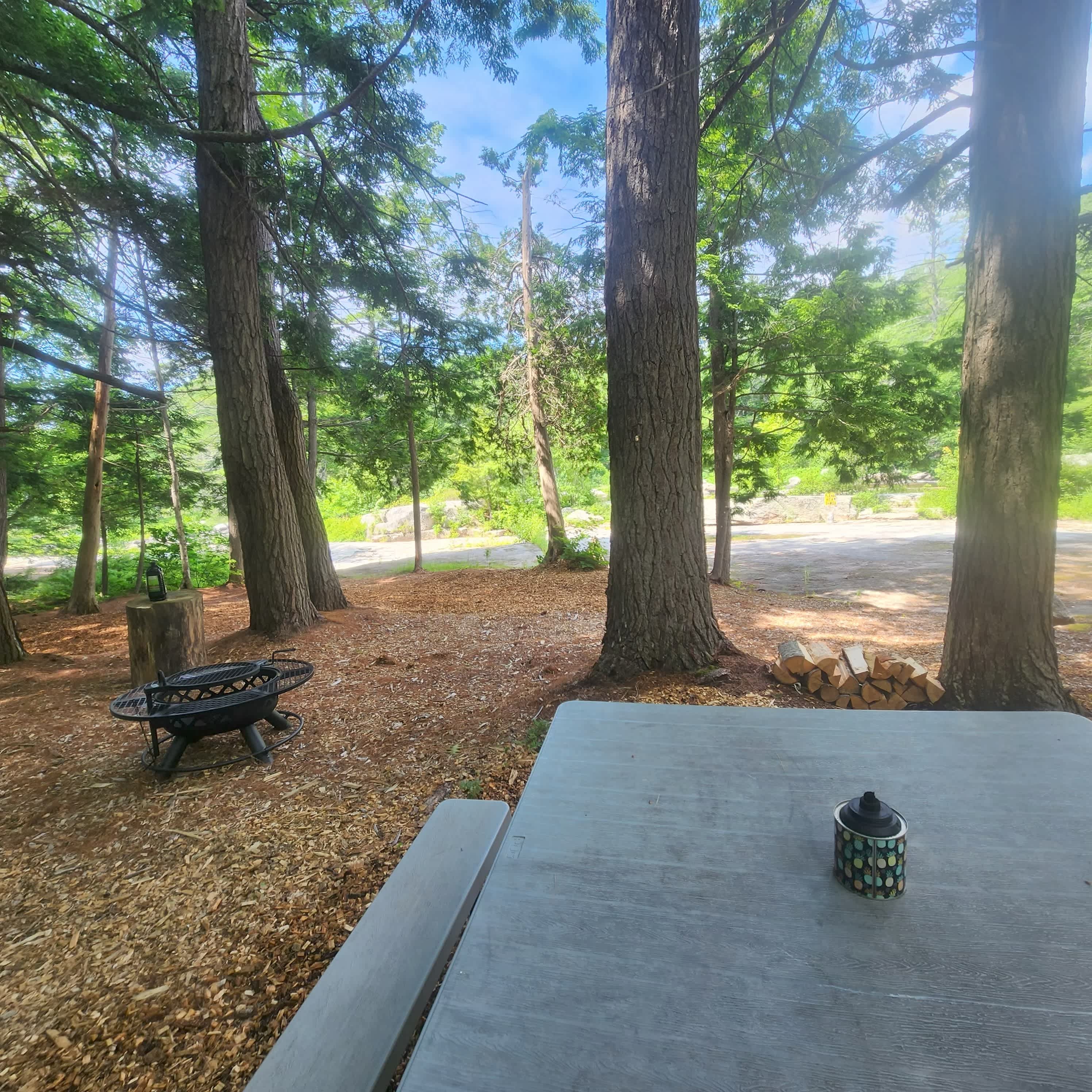 Picture of the site