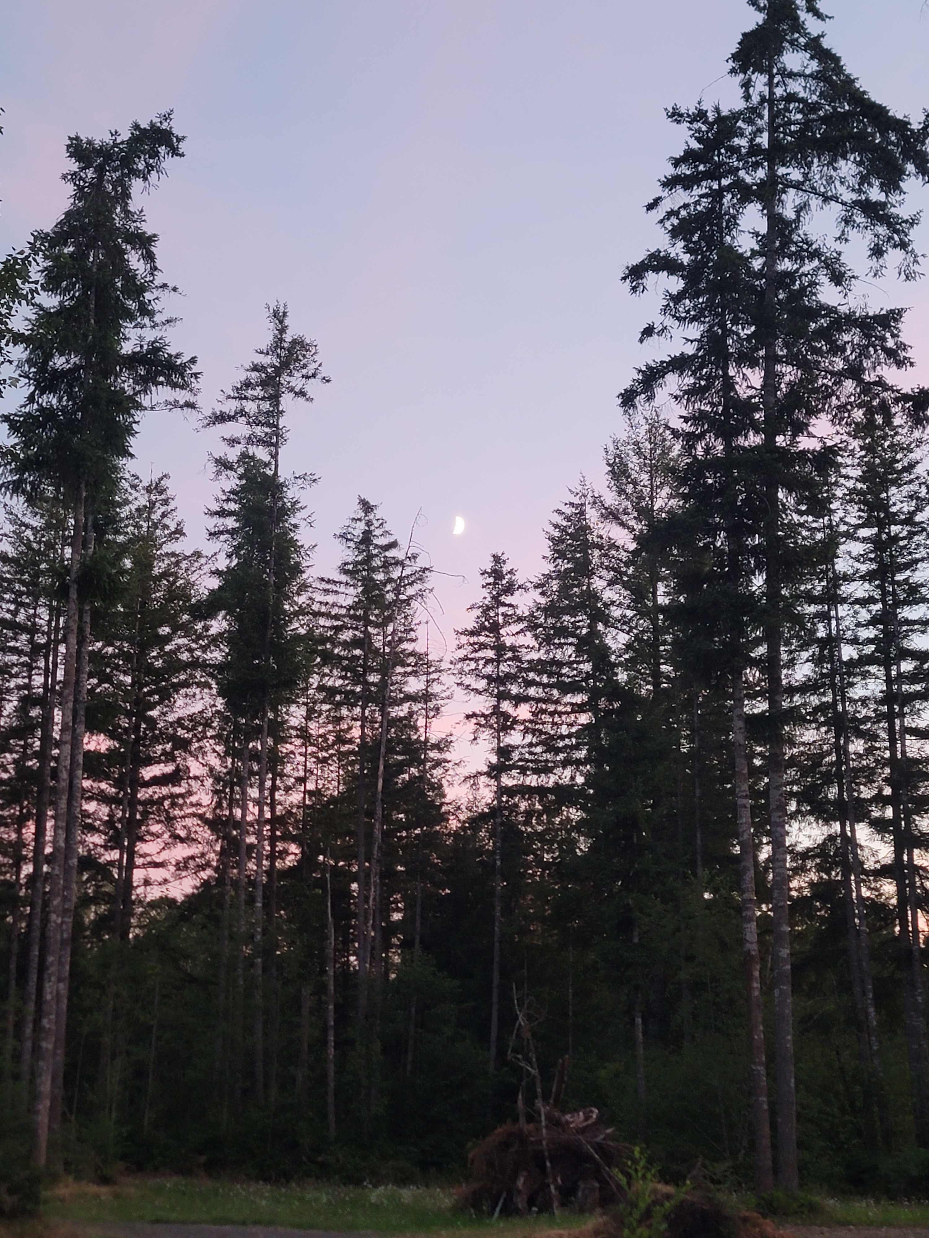 Tony’s Campground