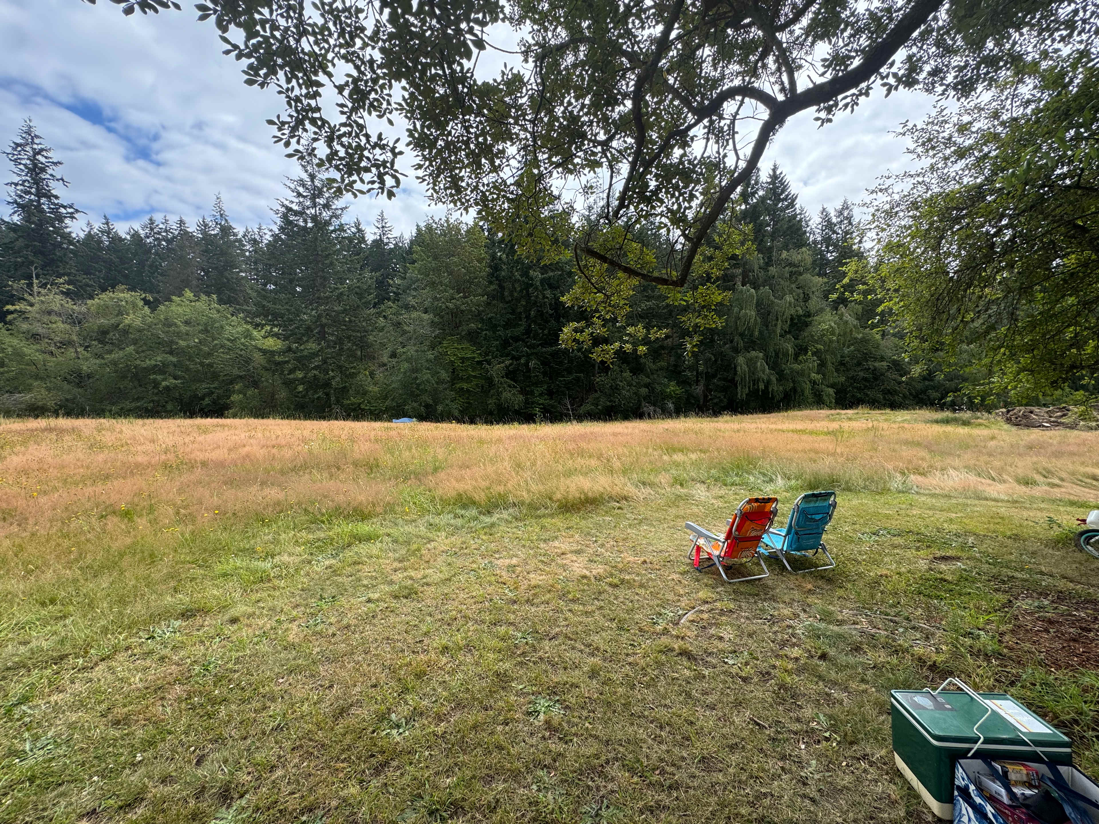 Sweet Alyssum Farm - Tent Camping