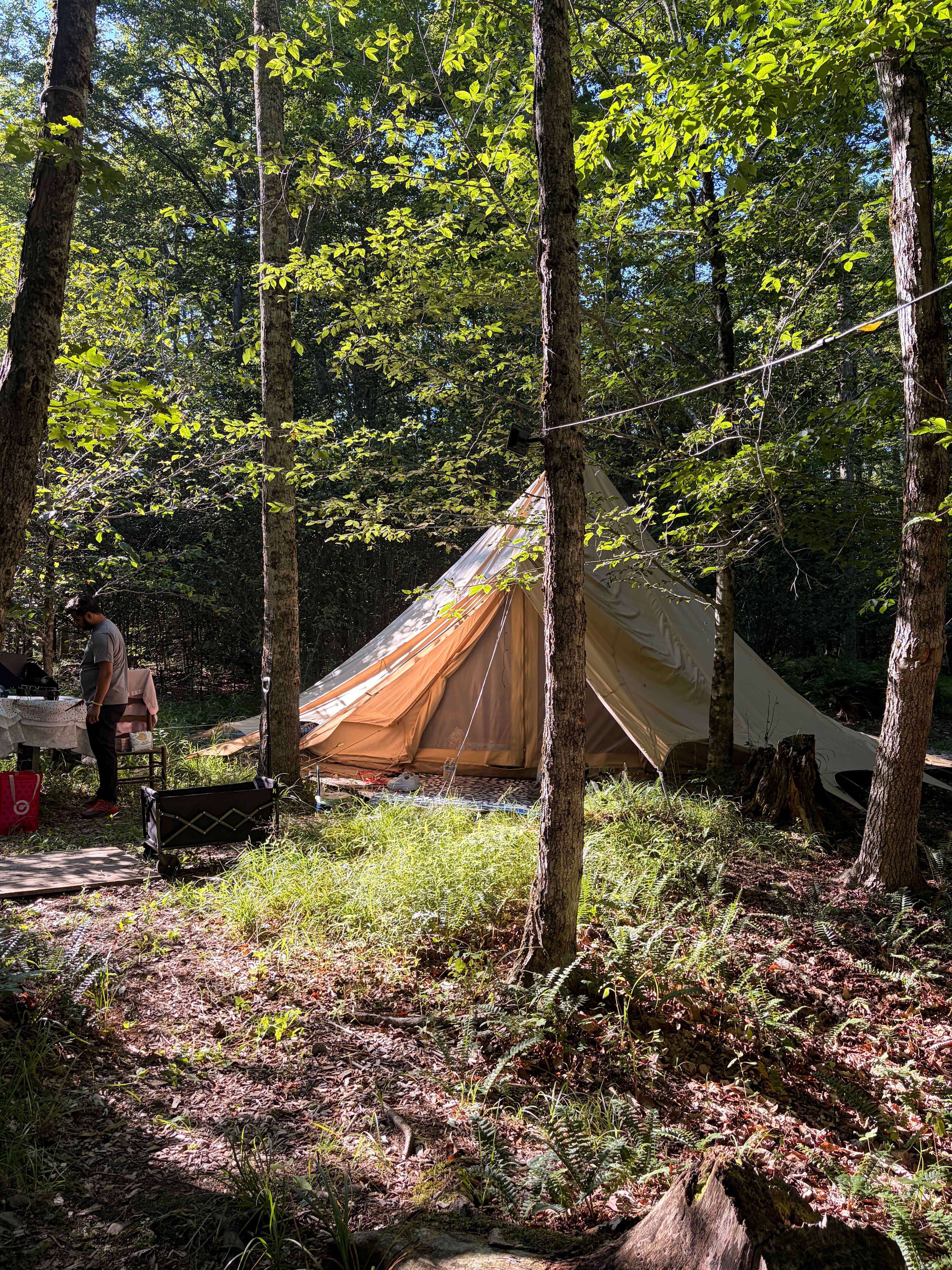 The tent