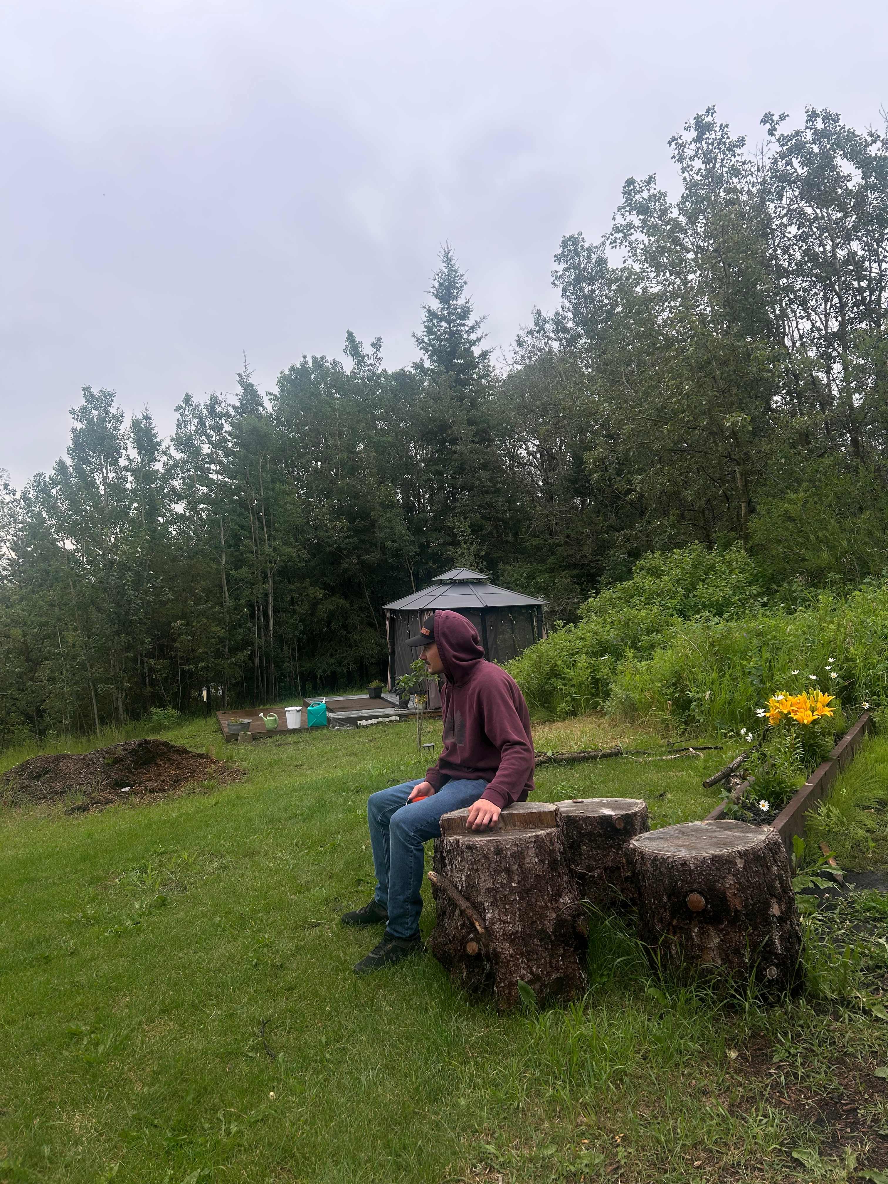 Ravens Valley Chickadee chalet