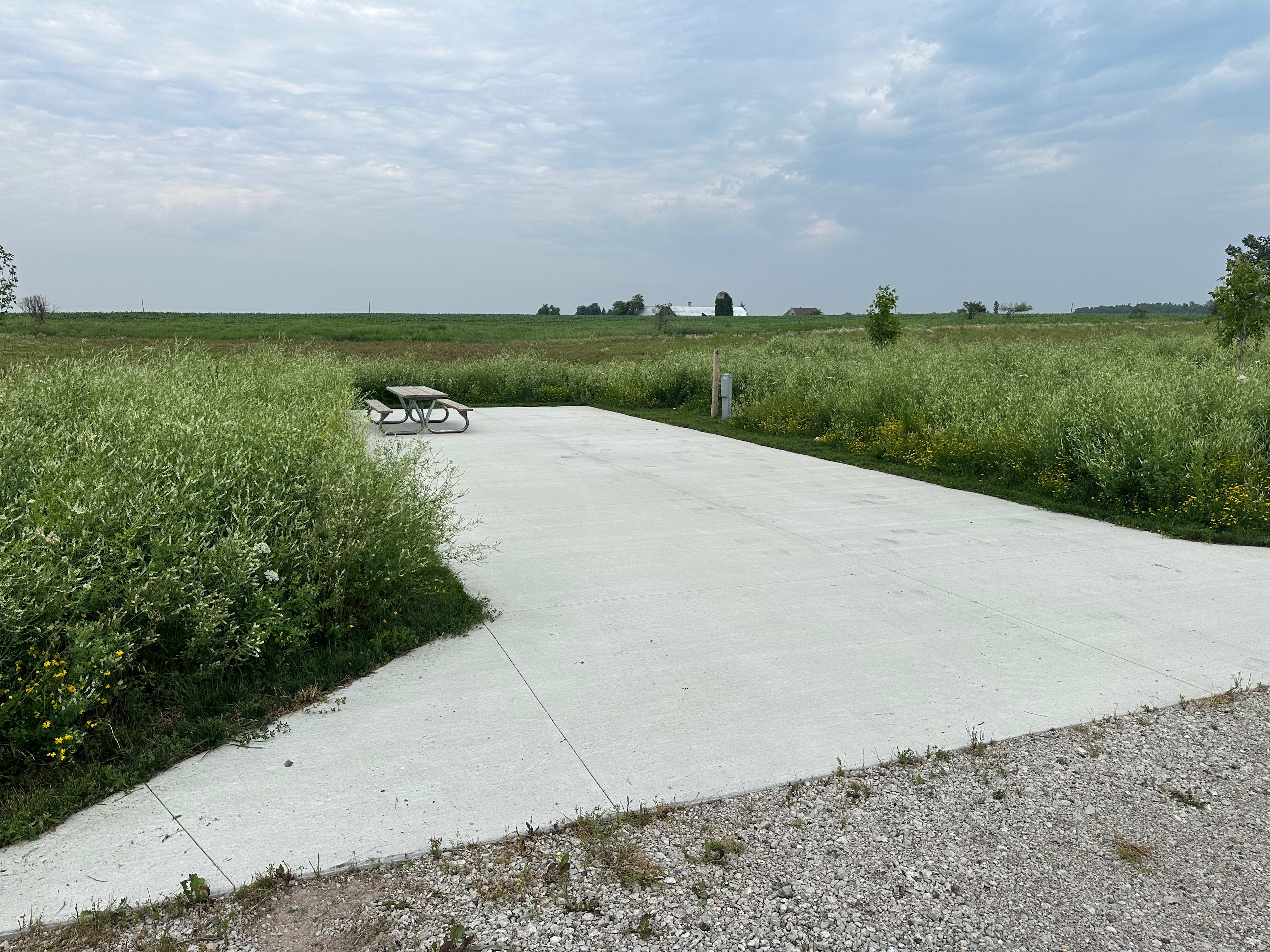 Picture of the site