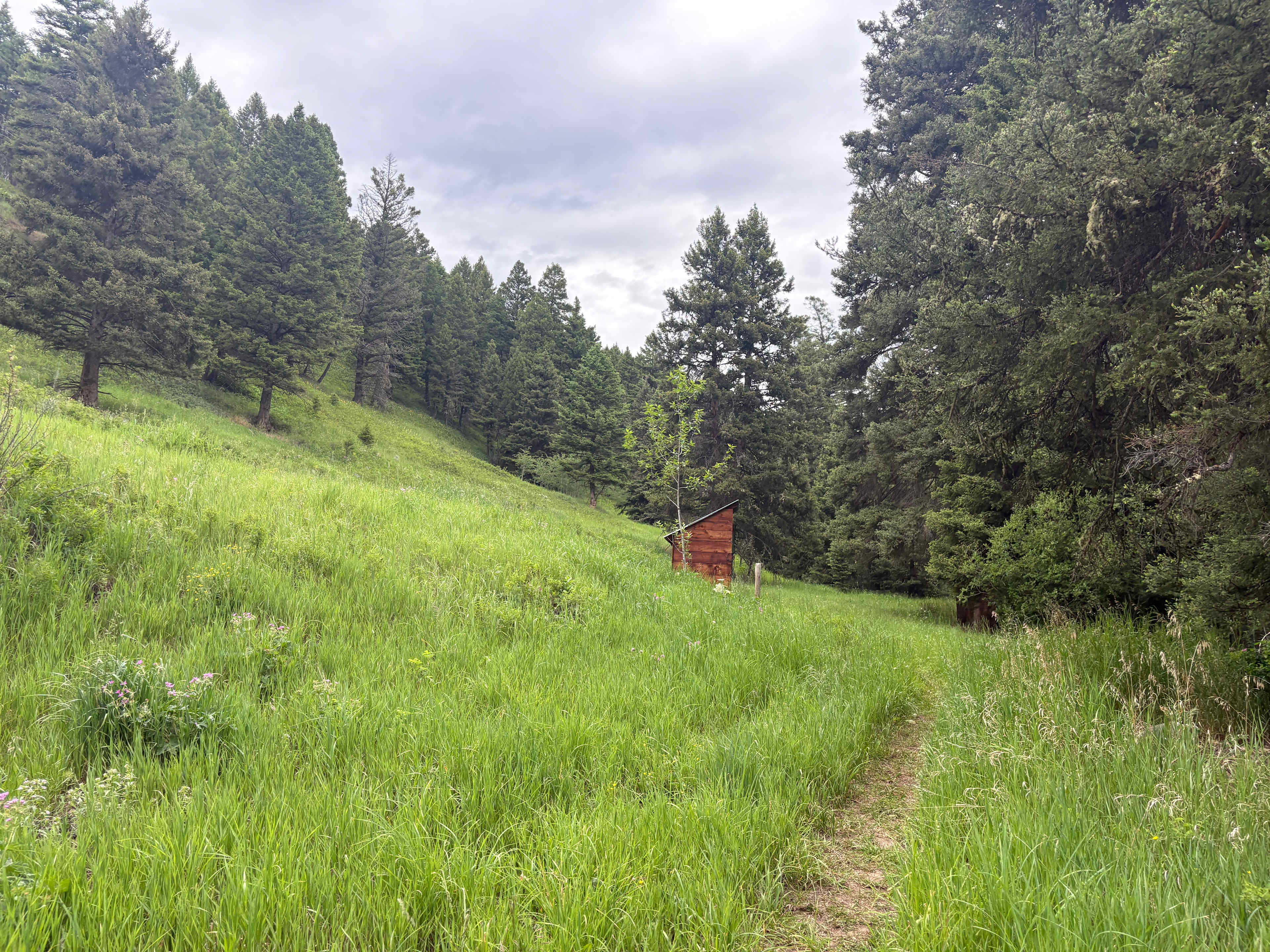 North Fork Cabin