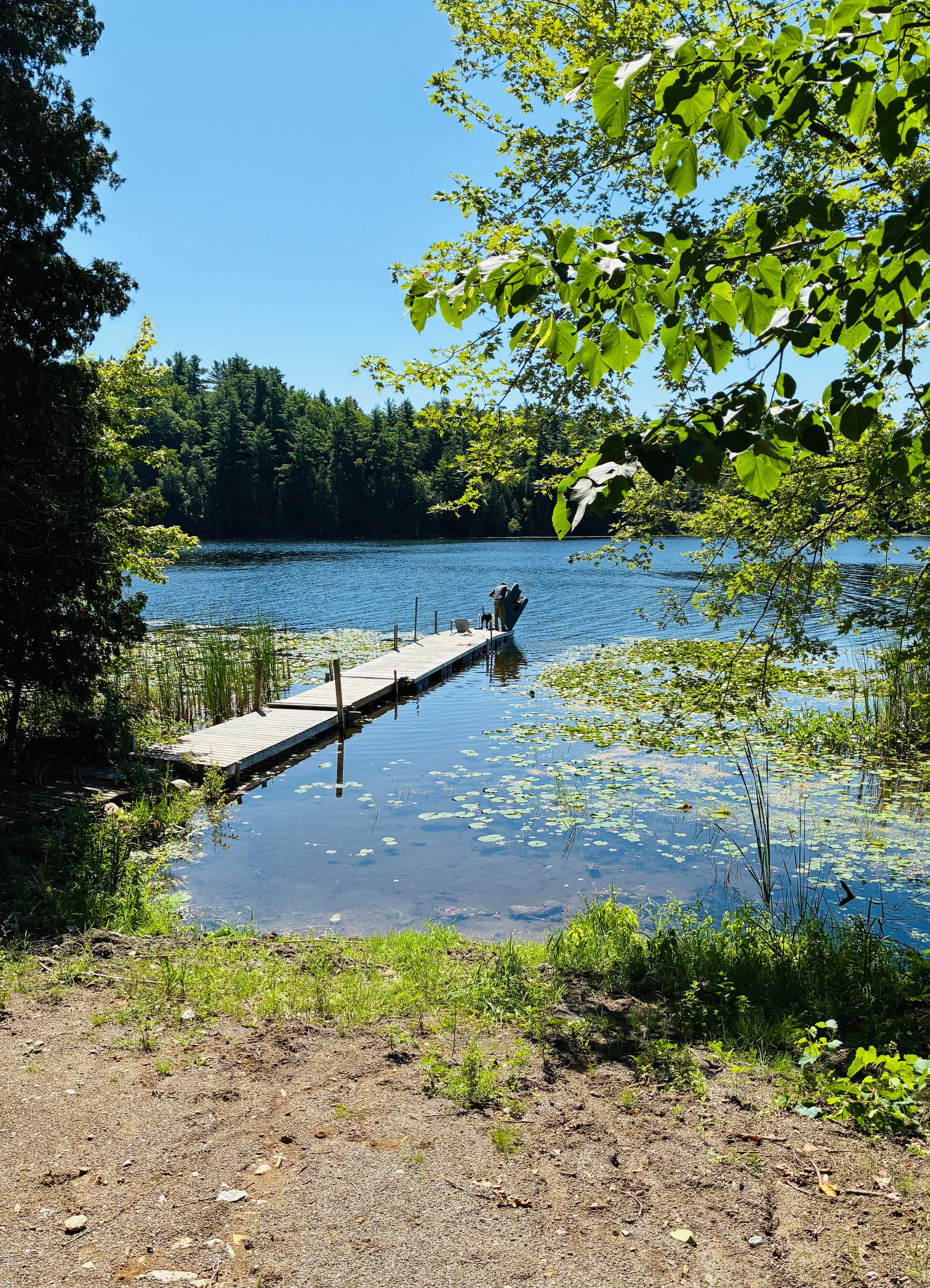 Fagan Lake Heights