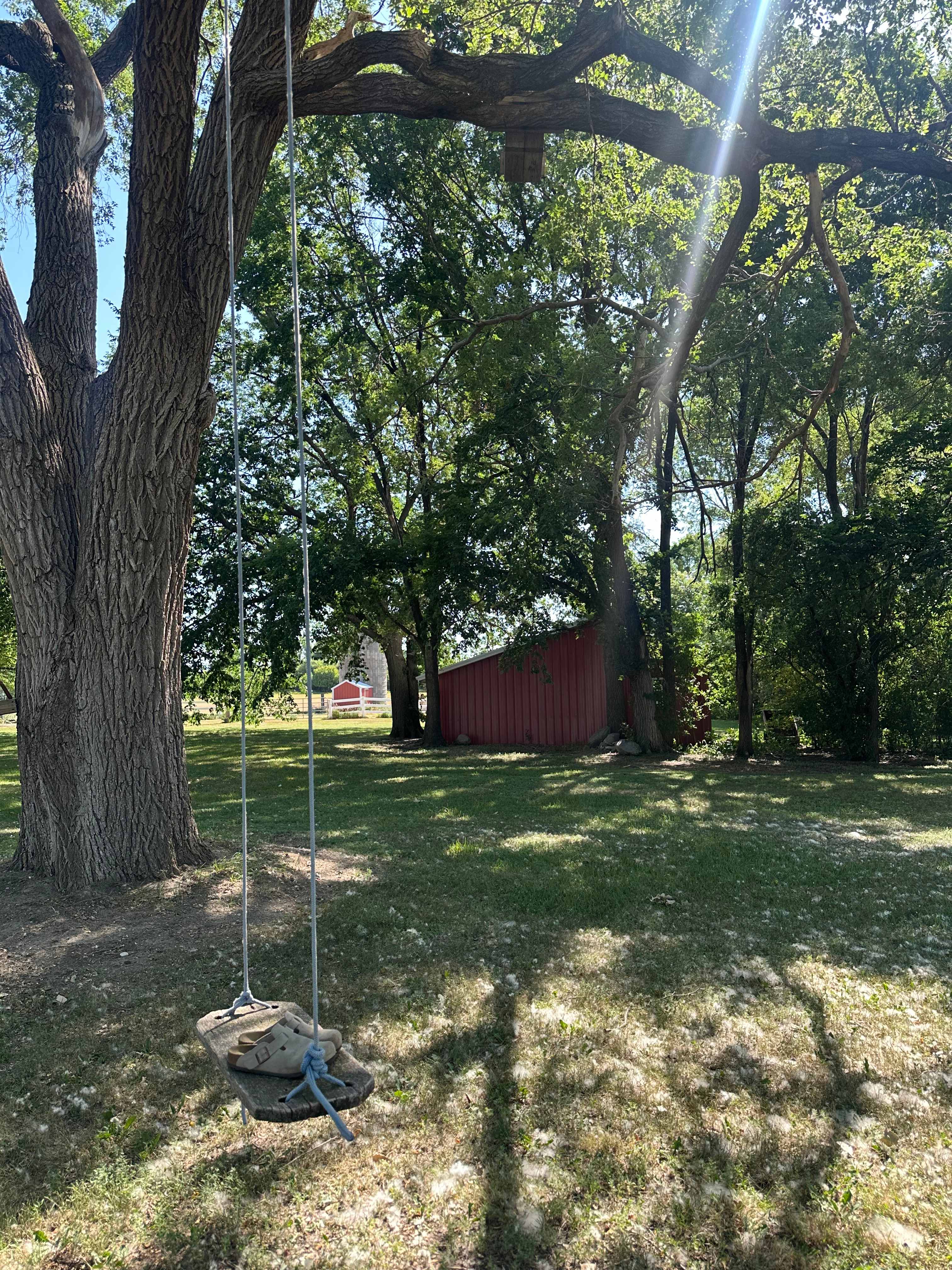 Downhome Country Farm