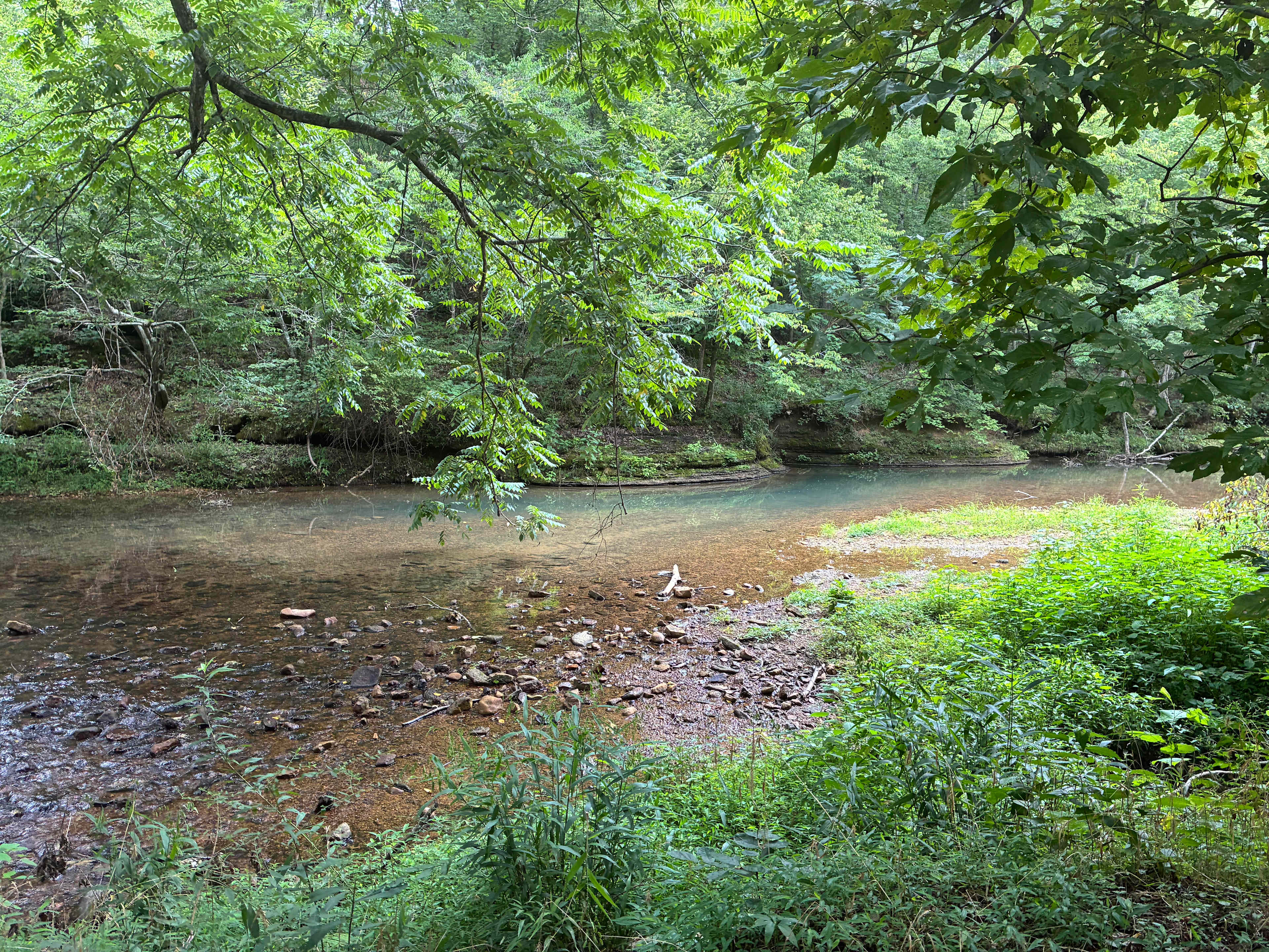 Fox Field Farms Creekside Camping