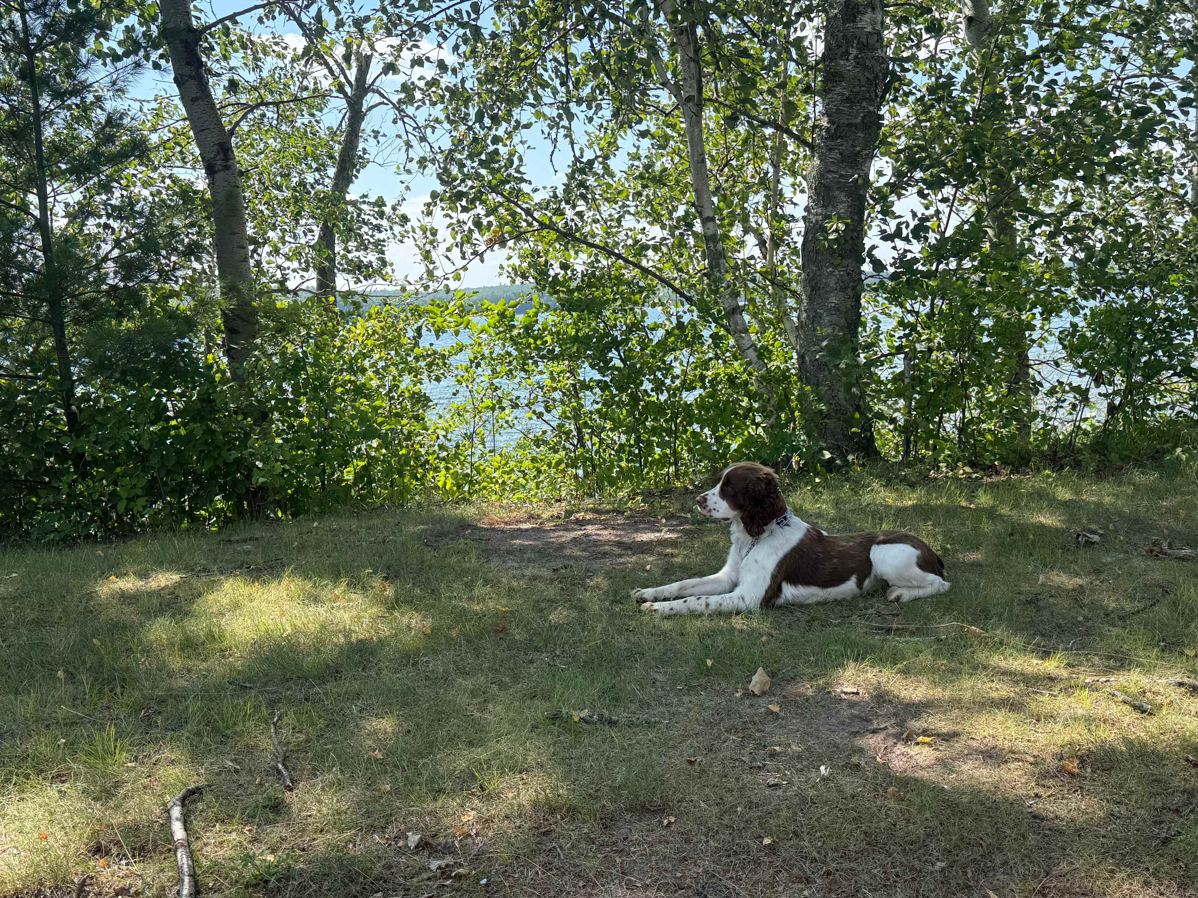 The Trout Lake Campground
