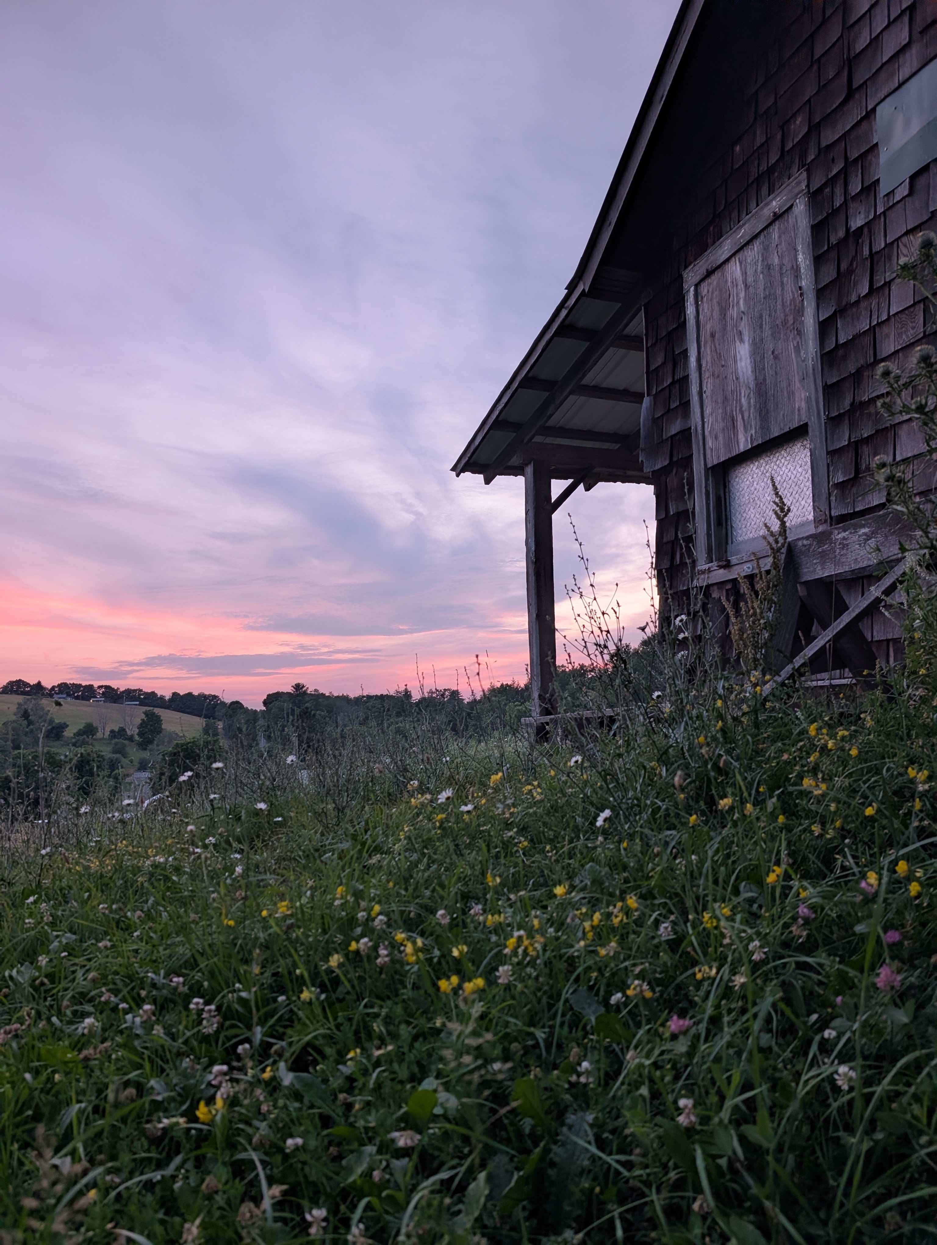 Firefly field