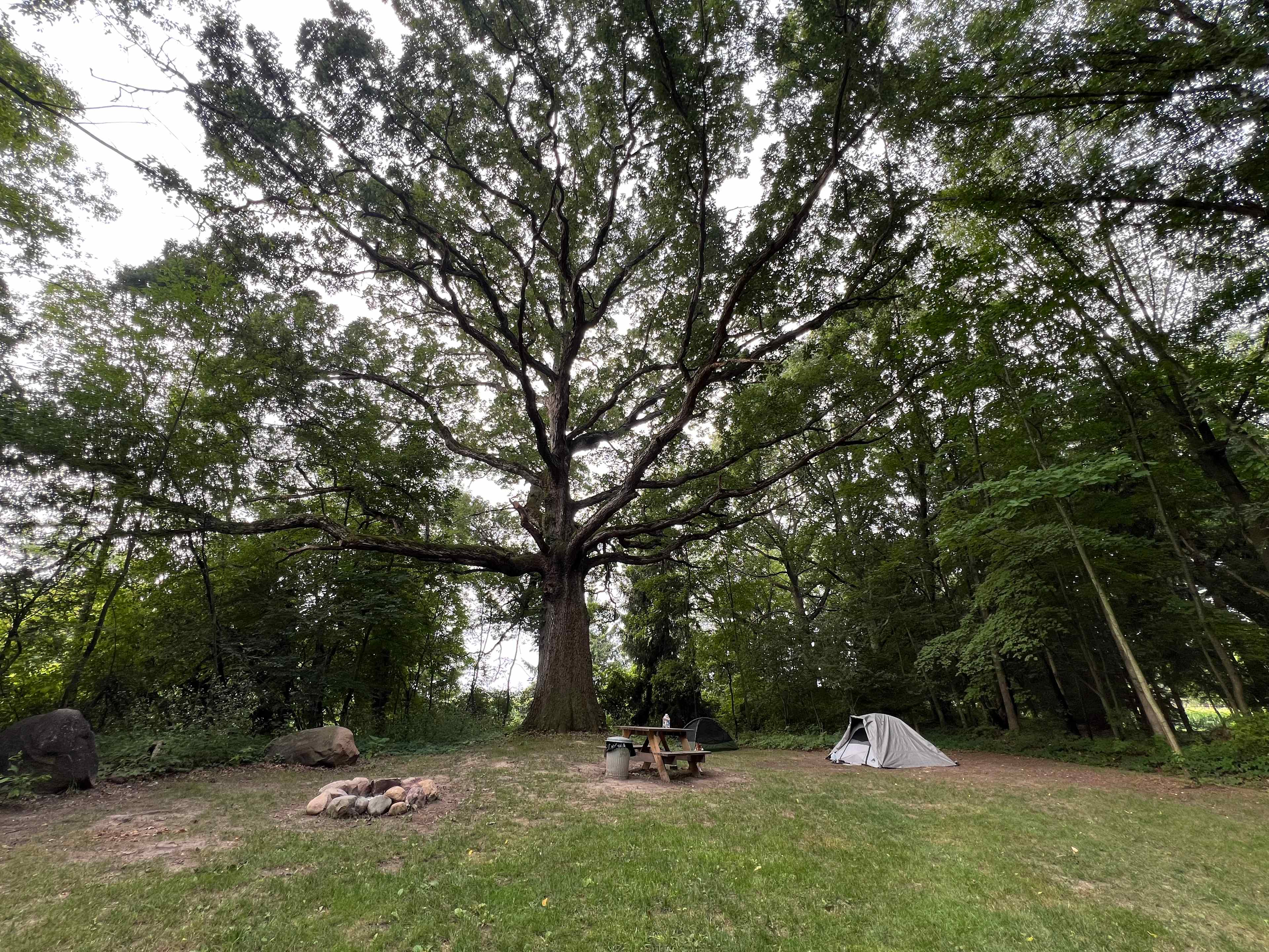 Boone Farm & Forest
