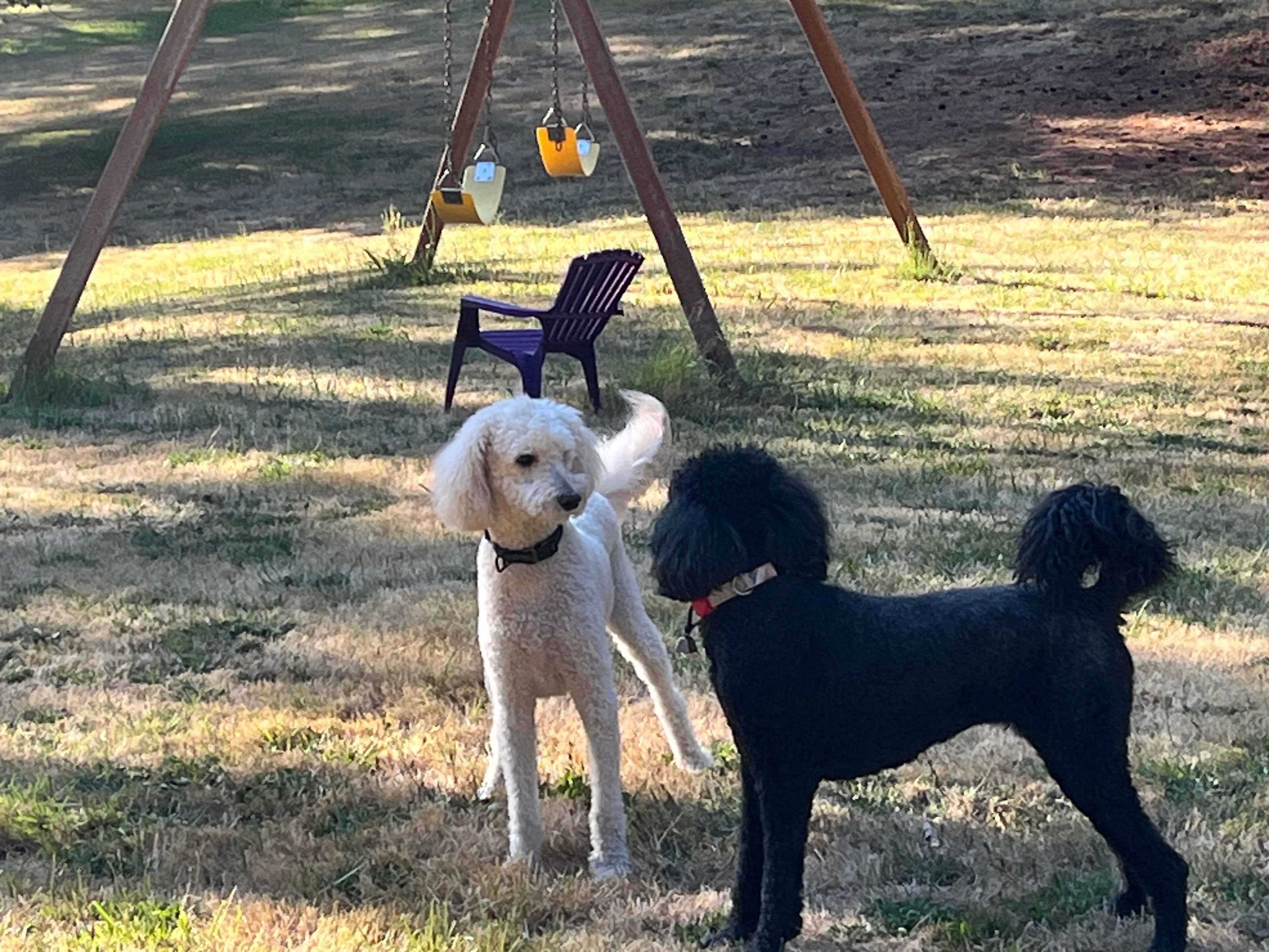 Stanley and Tilly