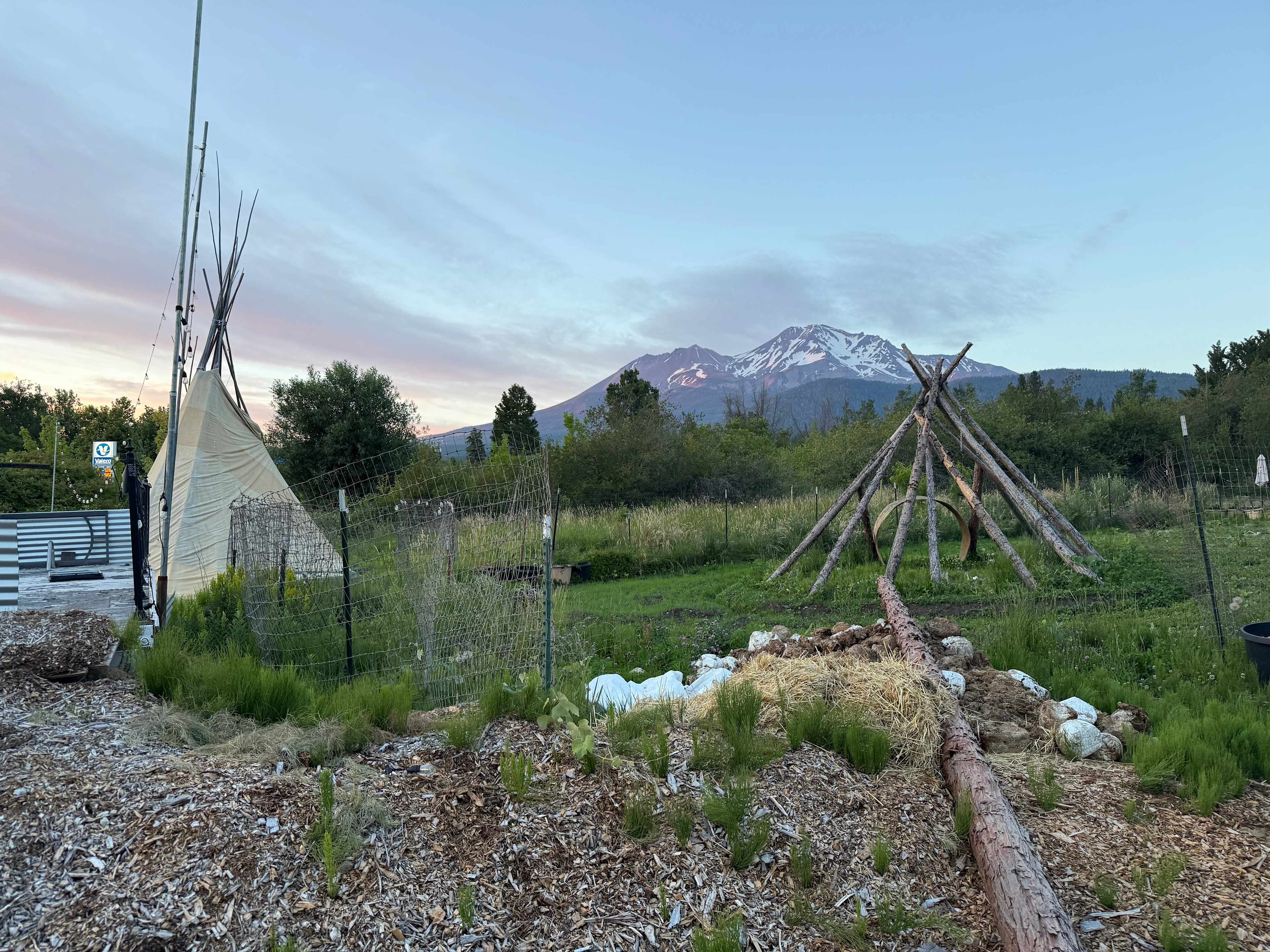 Shasta Gardens
