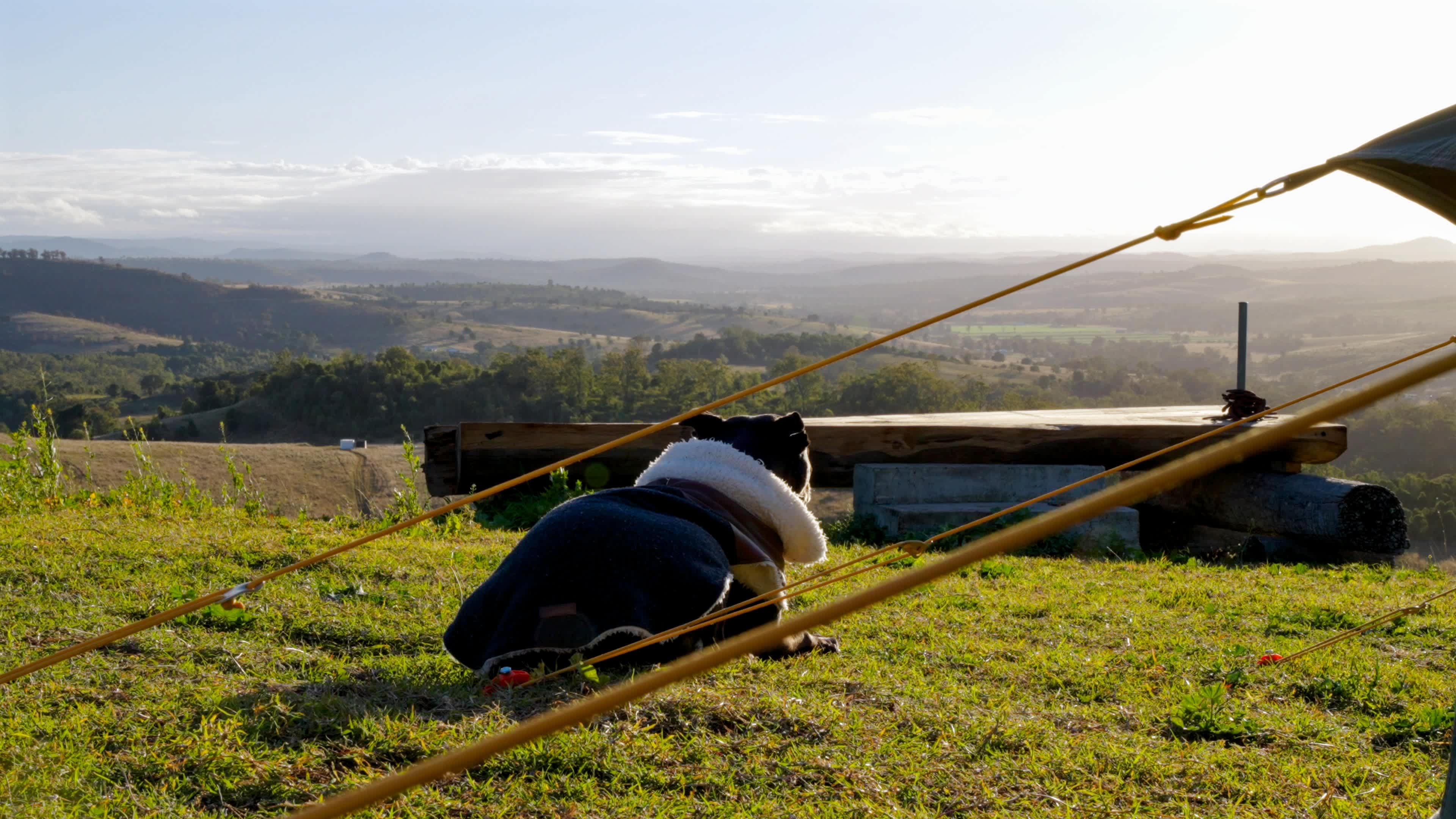 The Wahoon Lookout