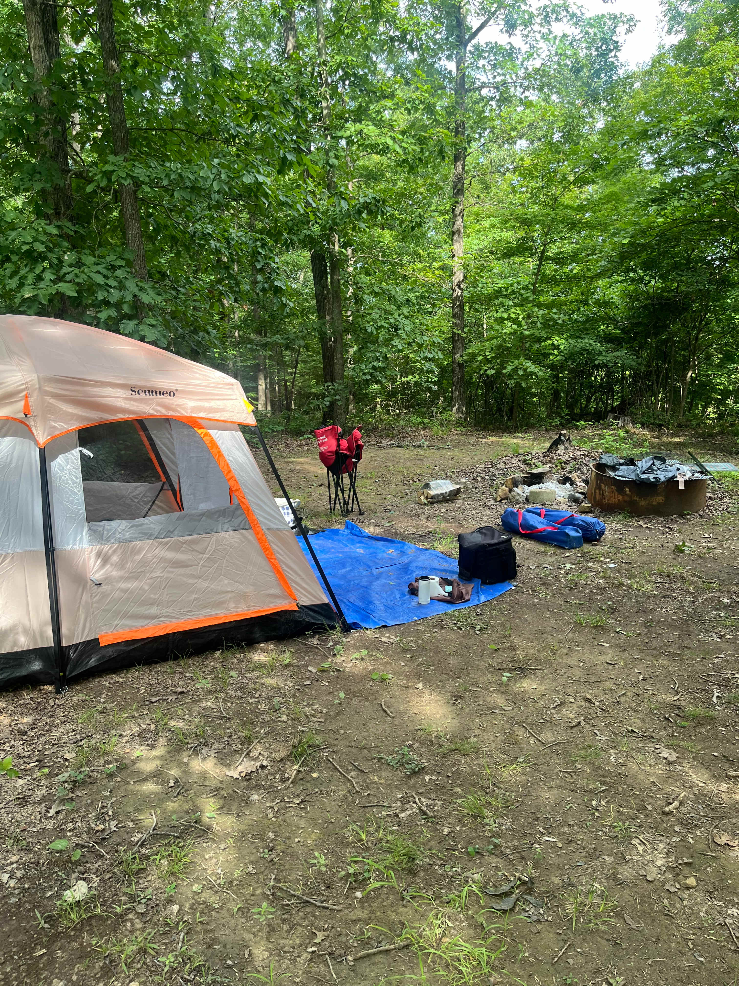 Flora and Fauna Camp