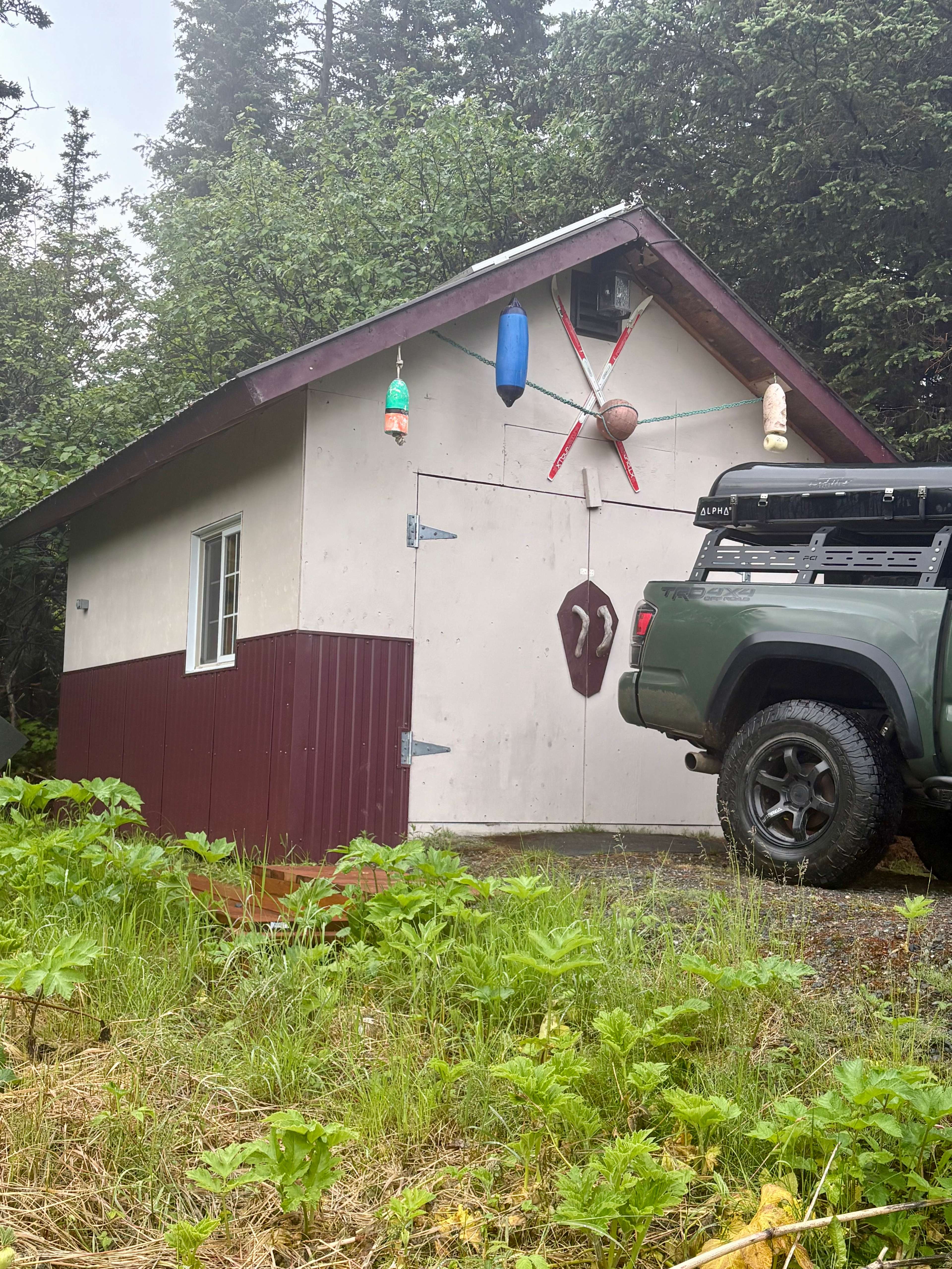 Picture of the site