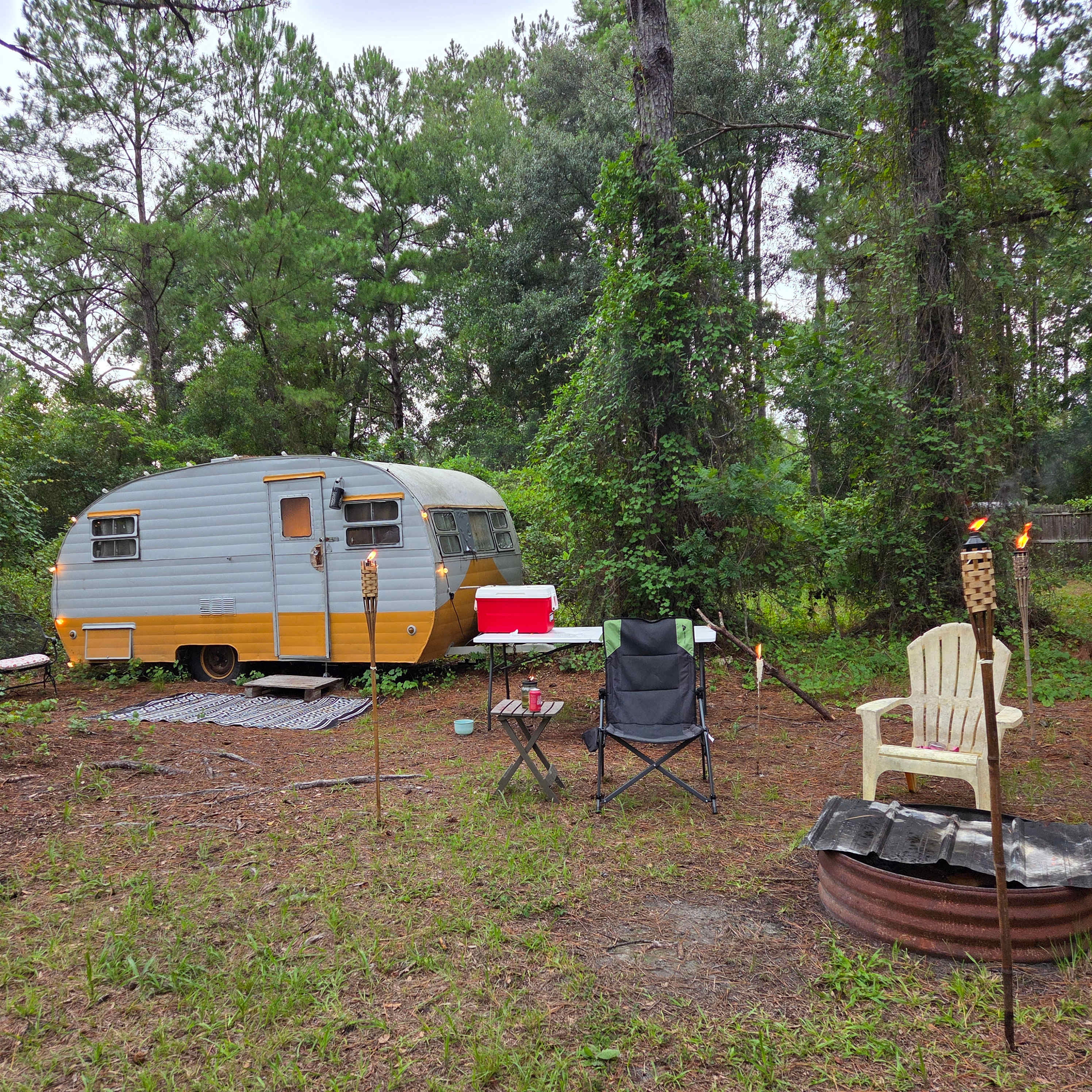 Serene Forested Blueberry Farm