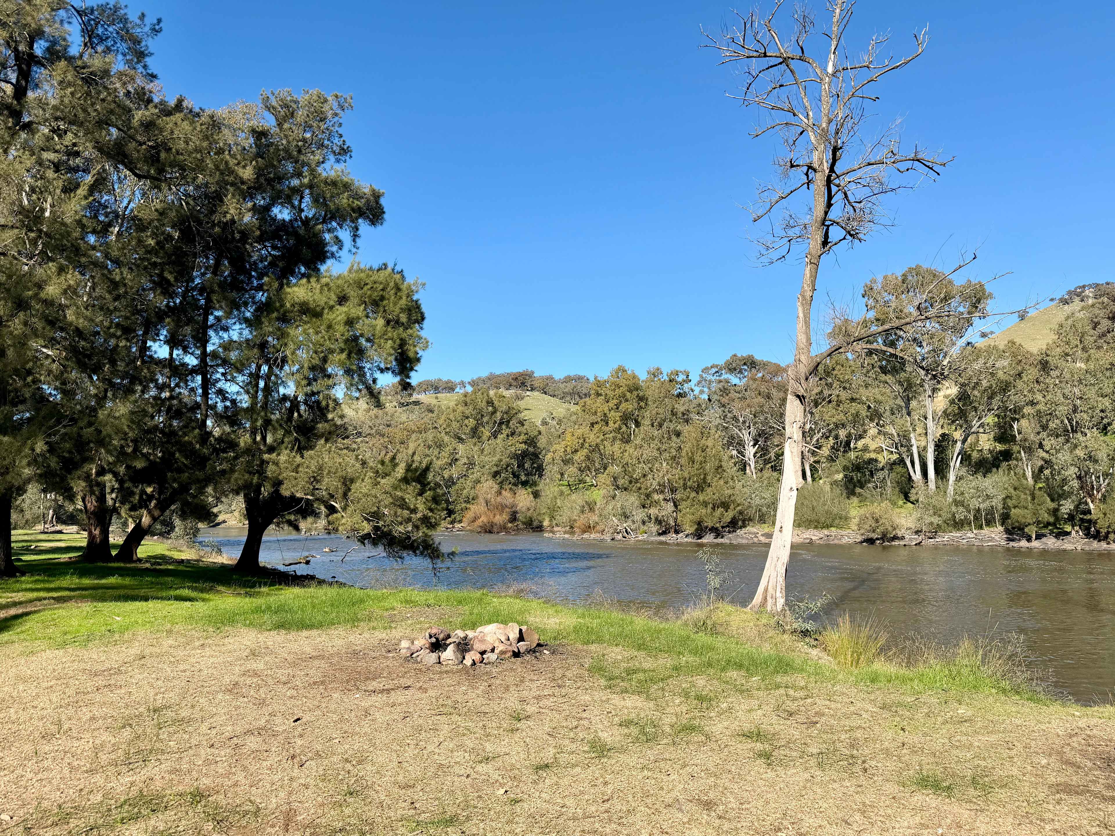 Jarabin on the Murrumbidgee