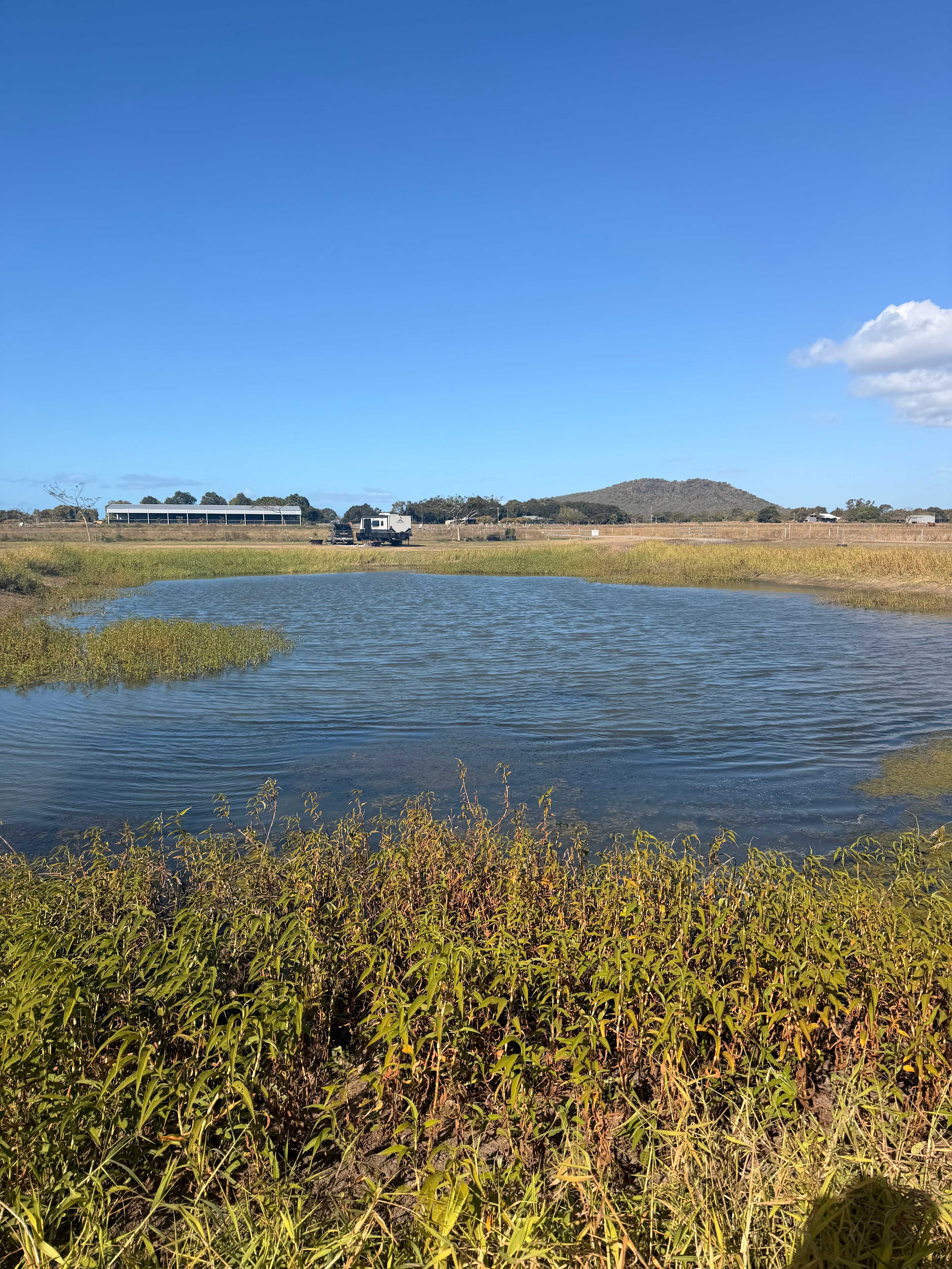 Menilden Farm