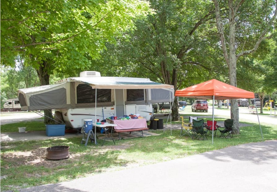 Picture of the site