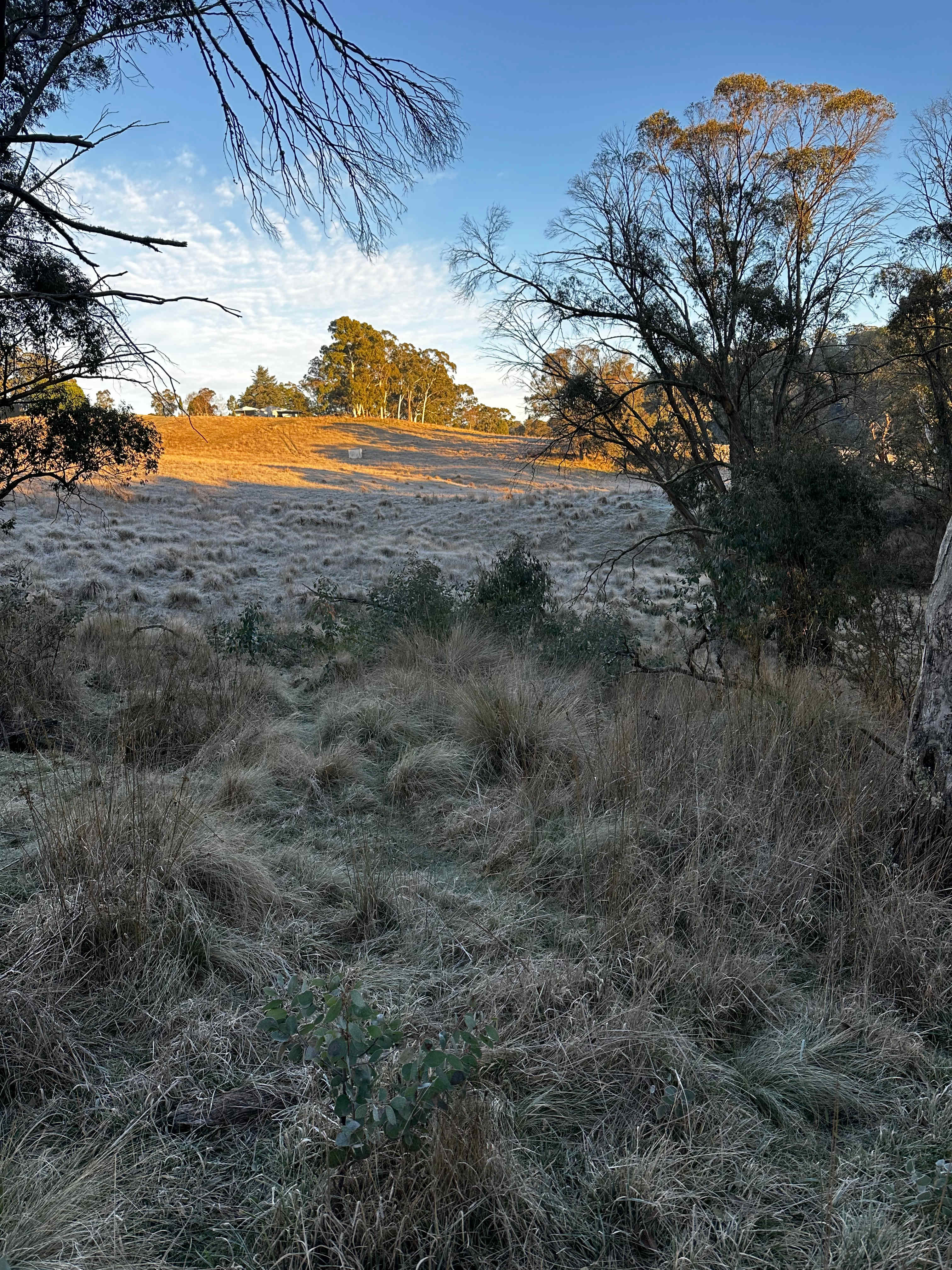 The Hideaway Oberon