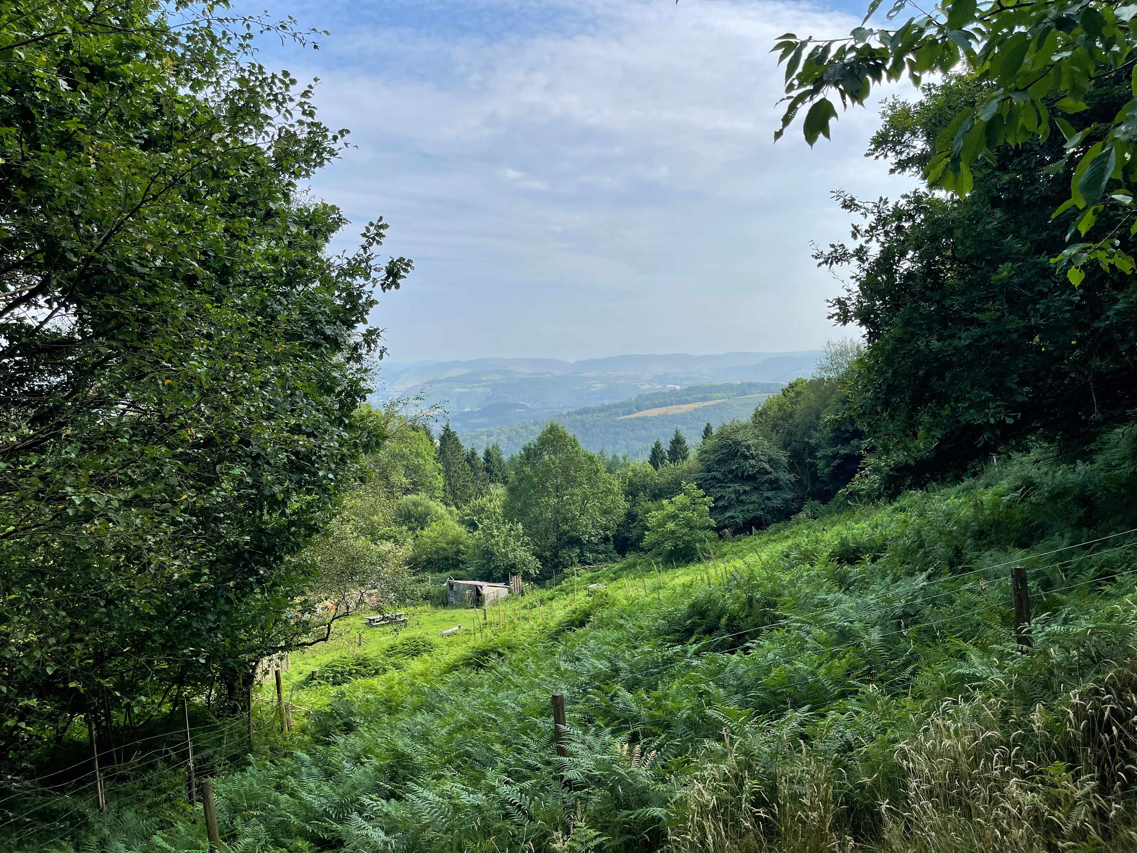 View from wagon decking