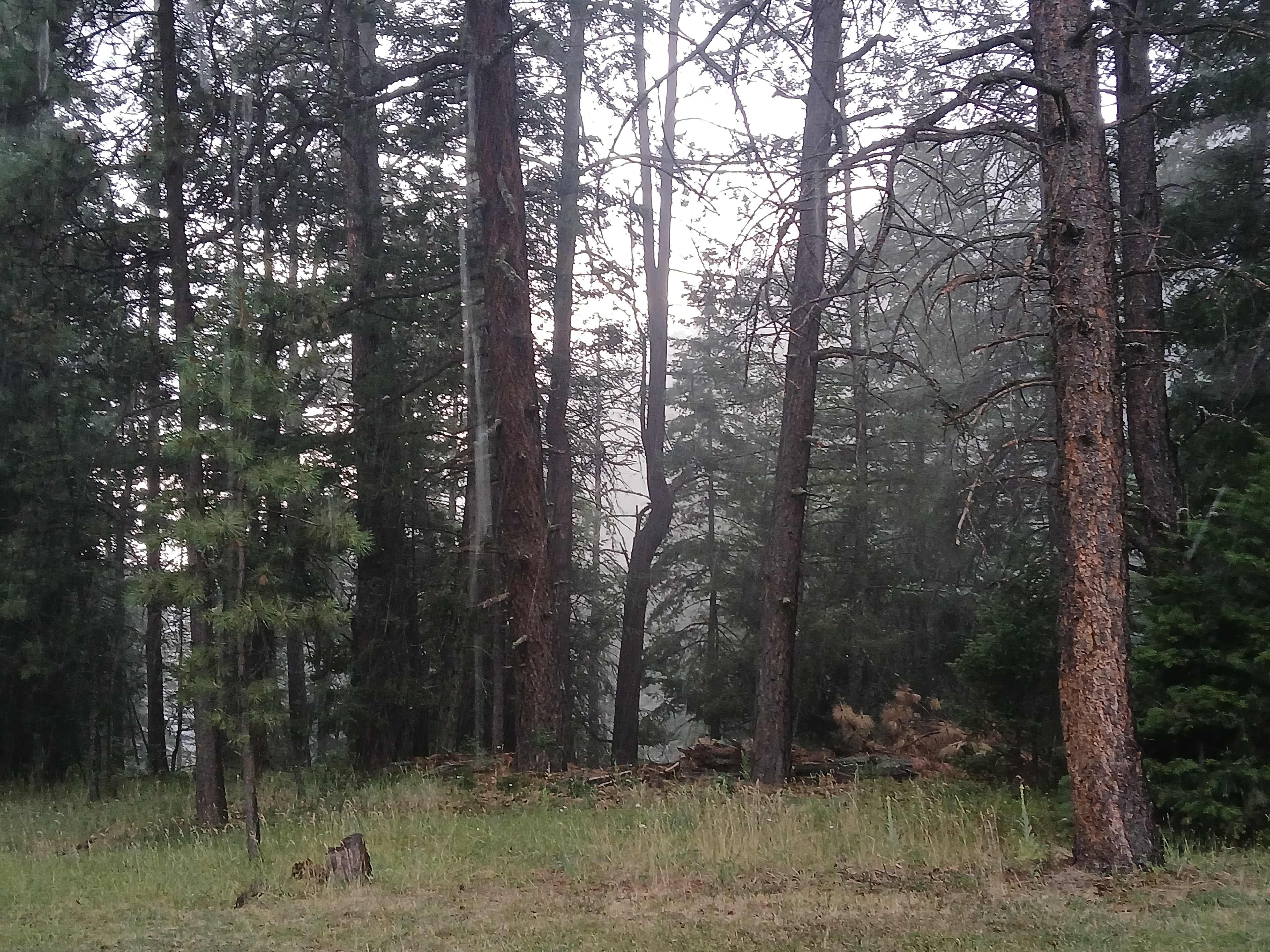 View fron tent