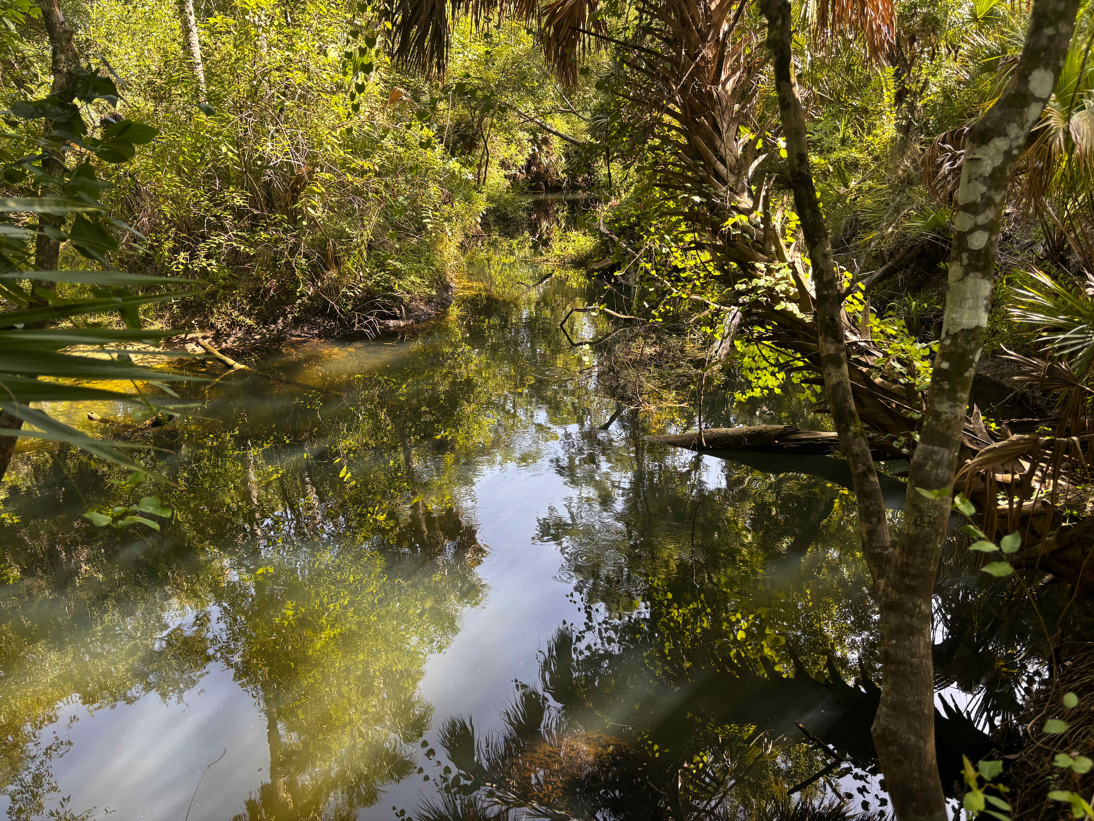 Cotee River Bend