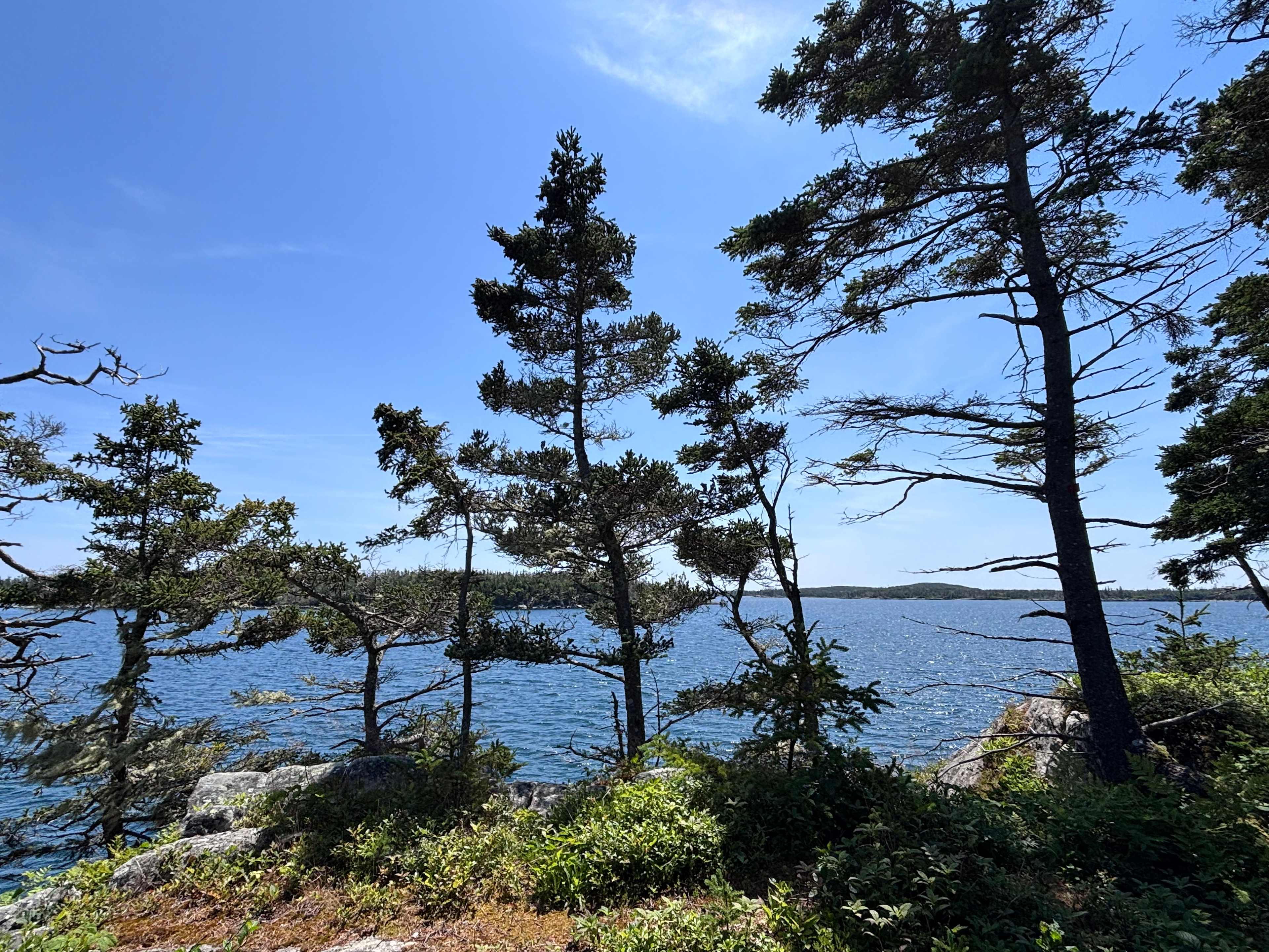 Bollong’s Point, Popes Harbour