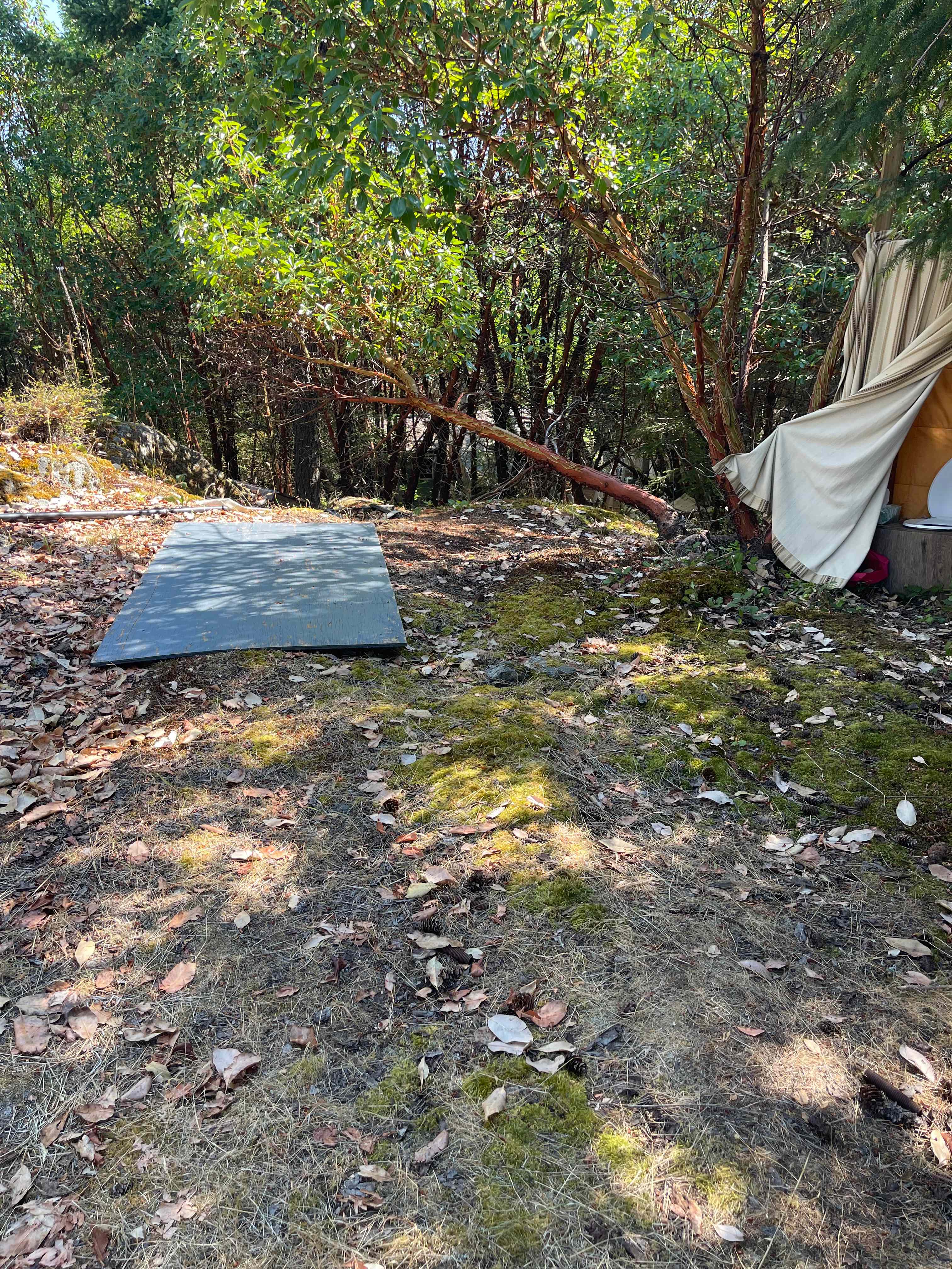 Picture of the site
