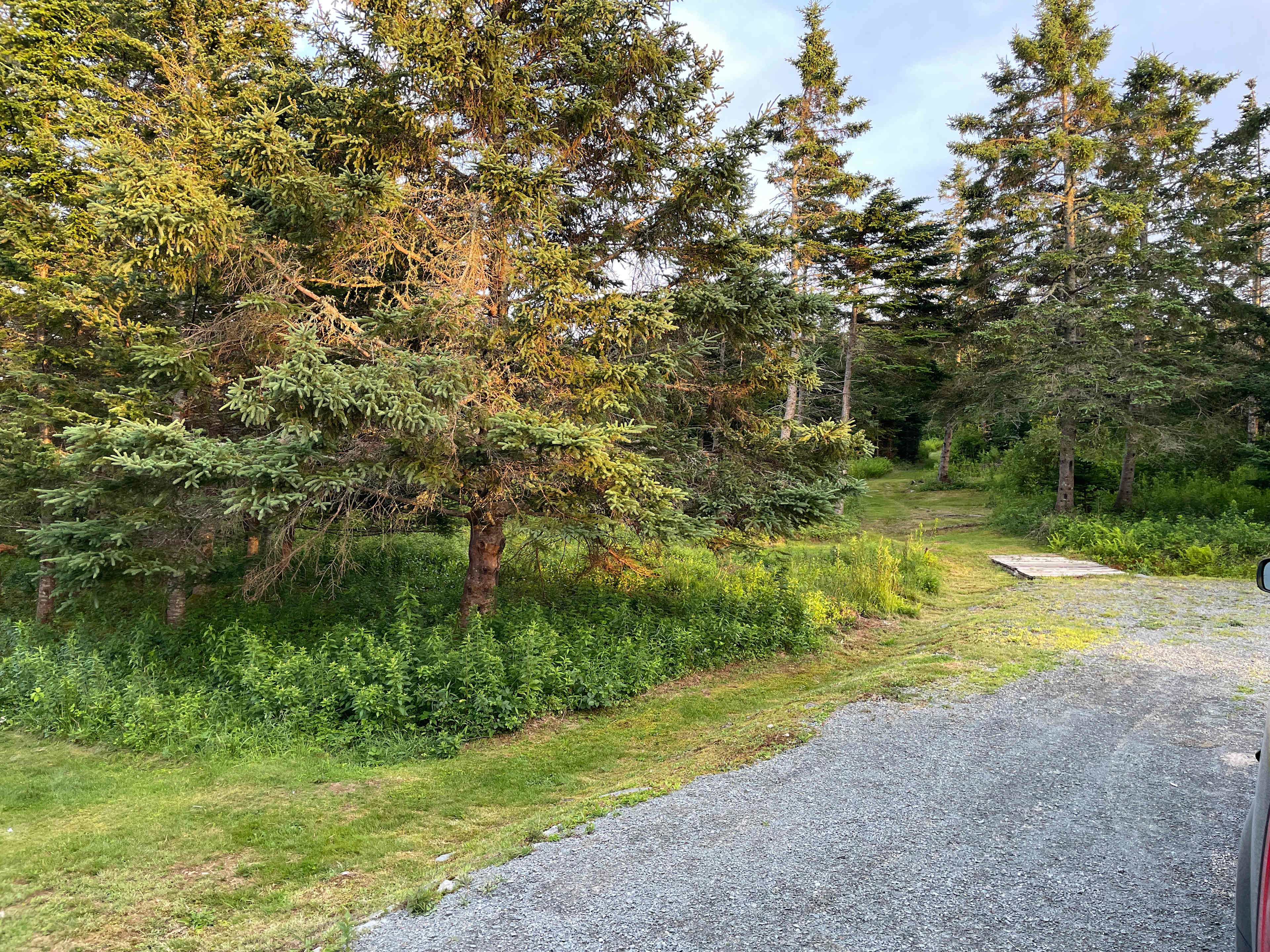 Blueberry Run Trail RV Sites