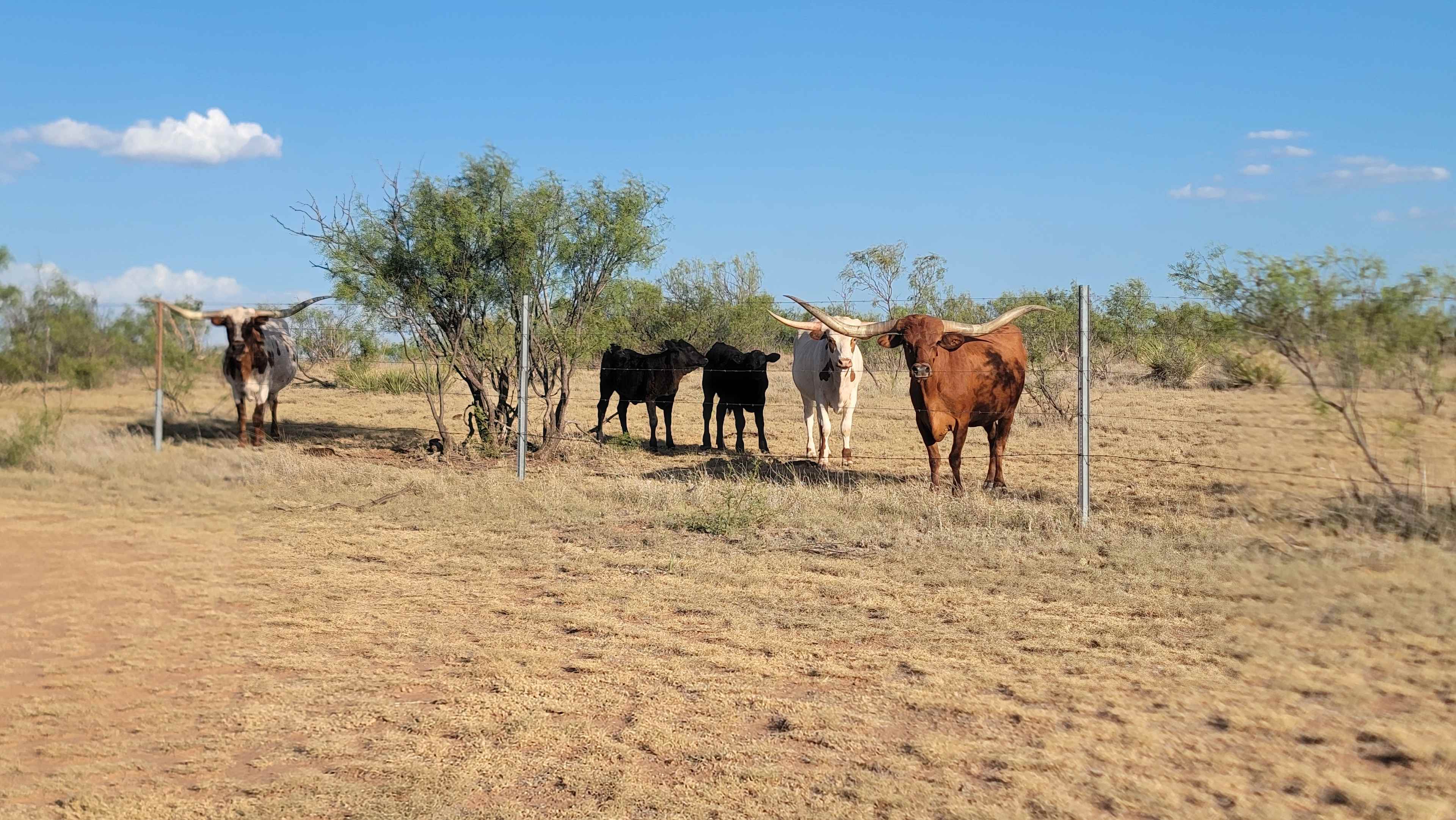 Valle de Oro RV Pad at LVE Ranch