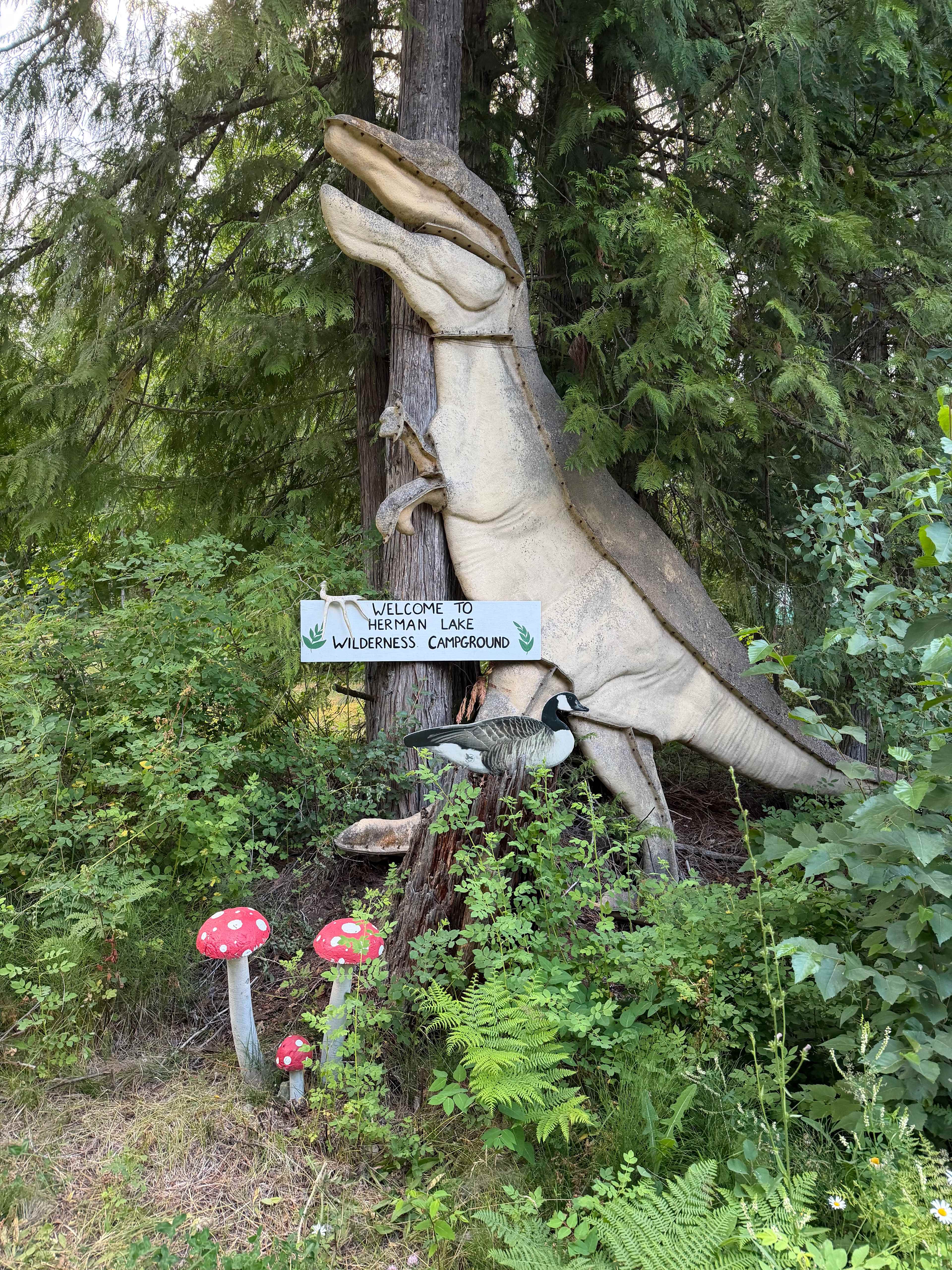Herman Lake Wilderness Campground