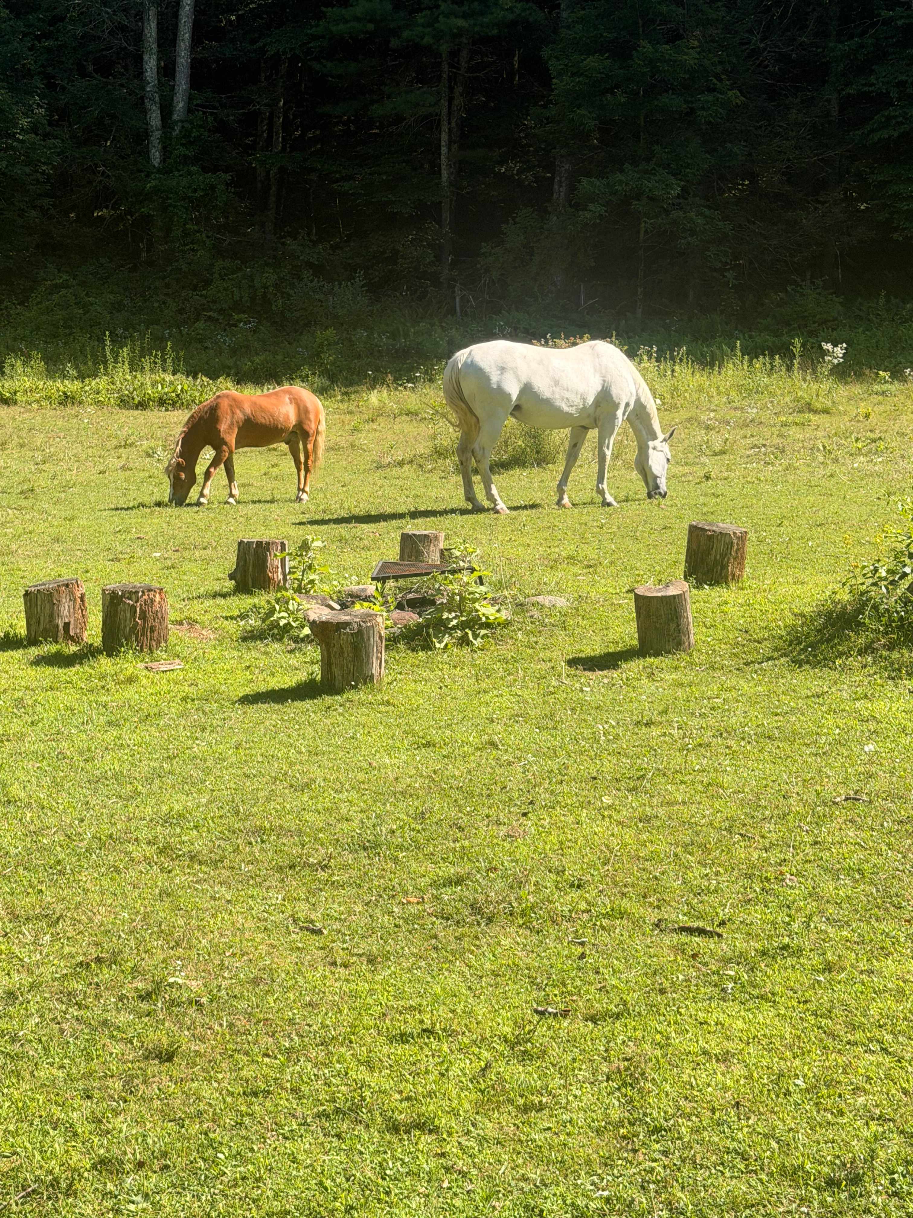 Beavertides Farm