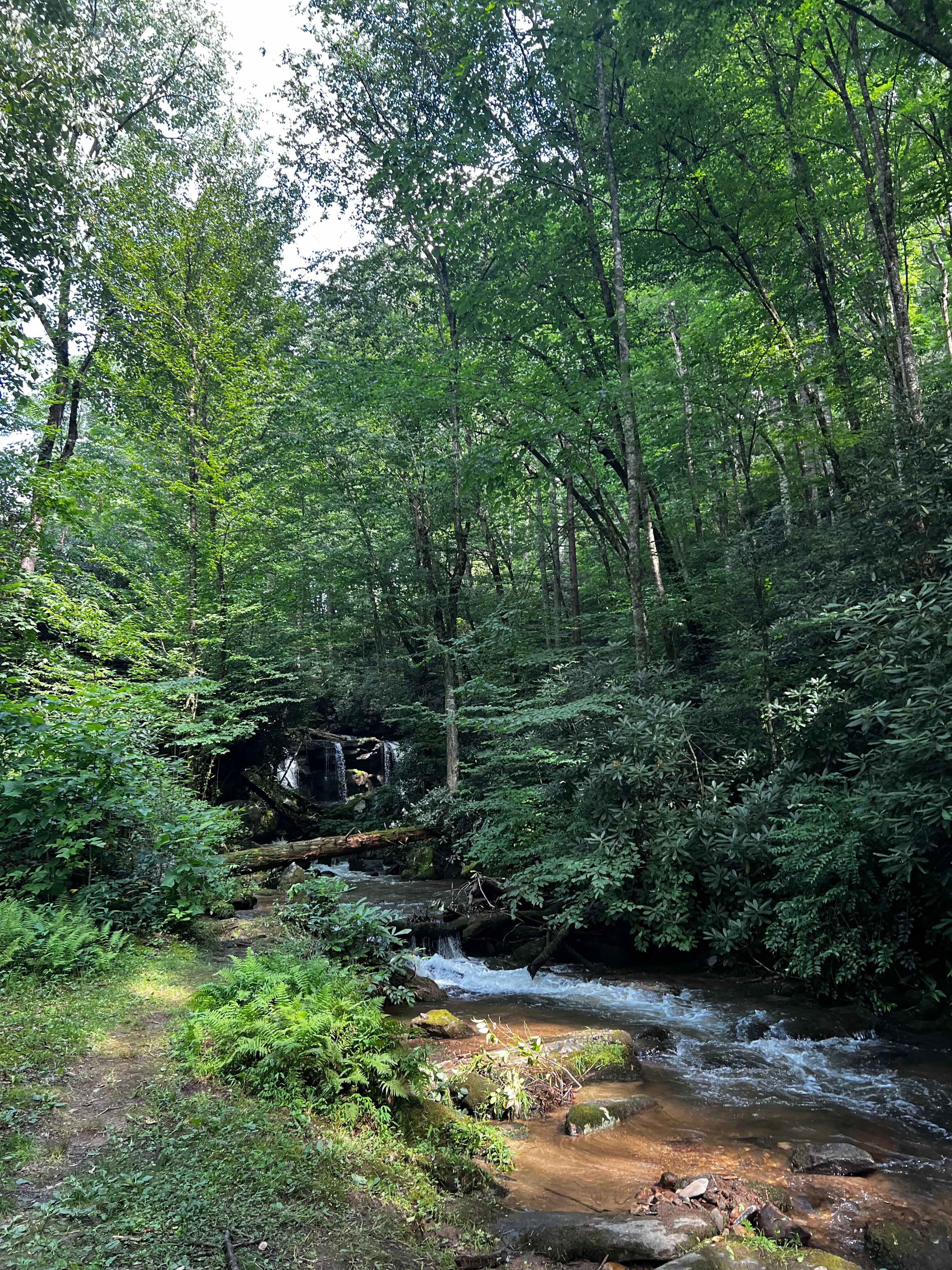 Cherokee Waterfall Campground