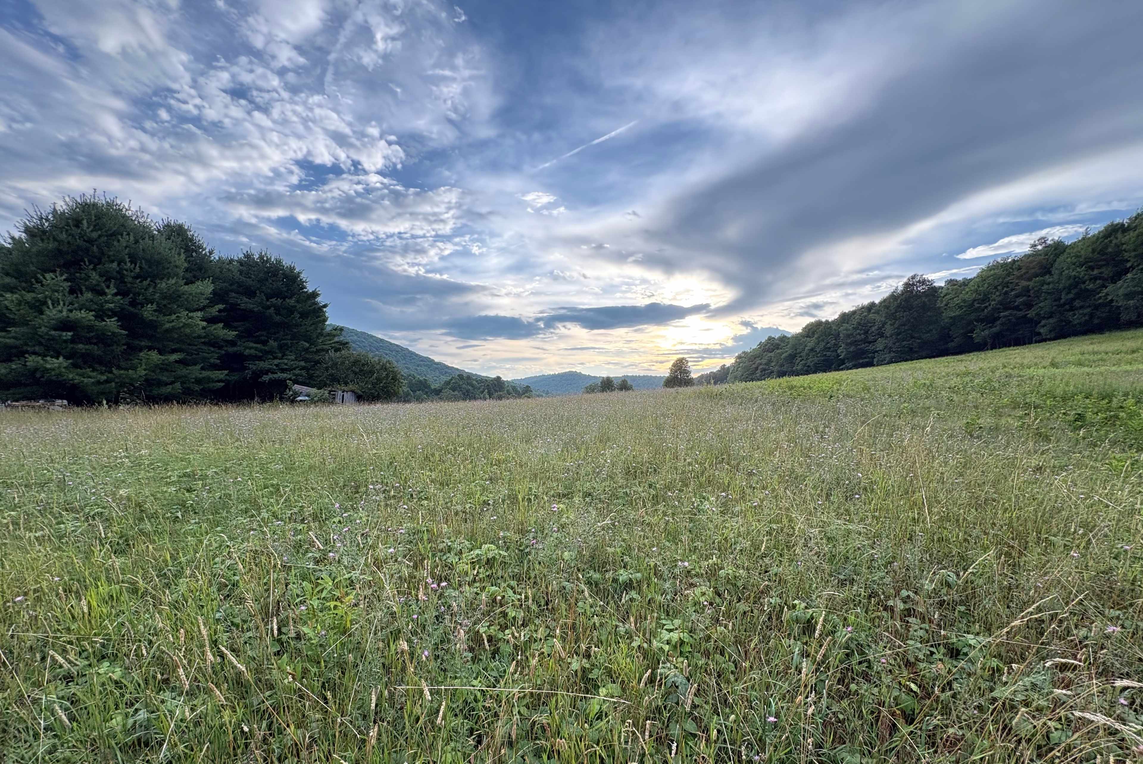 Country Meadows