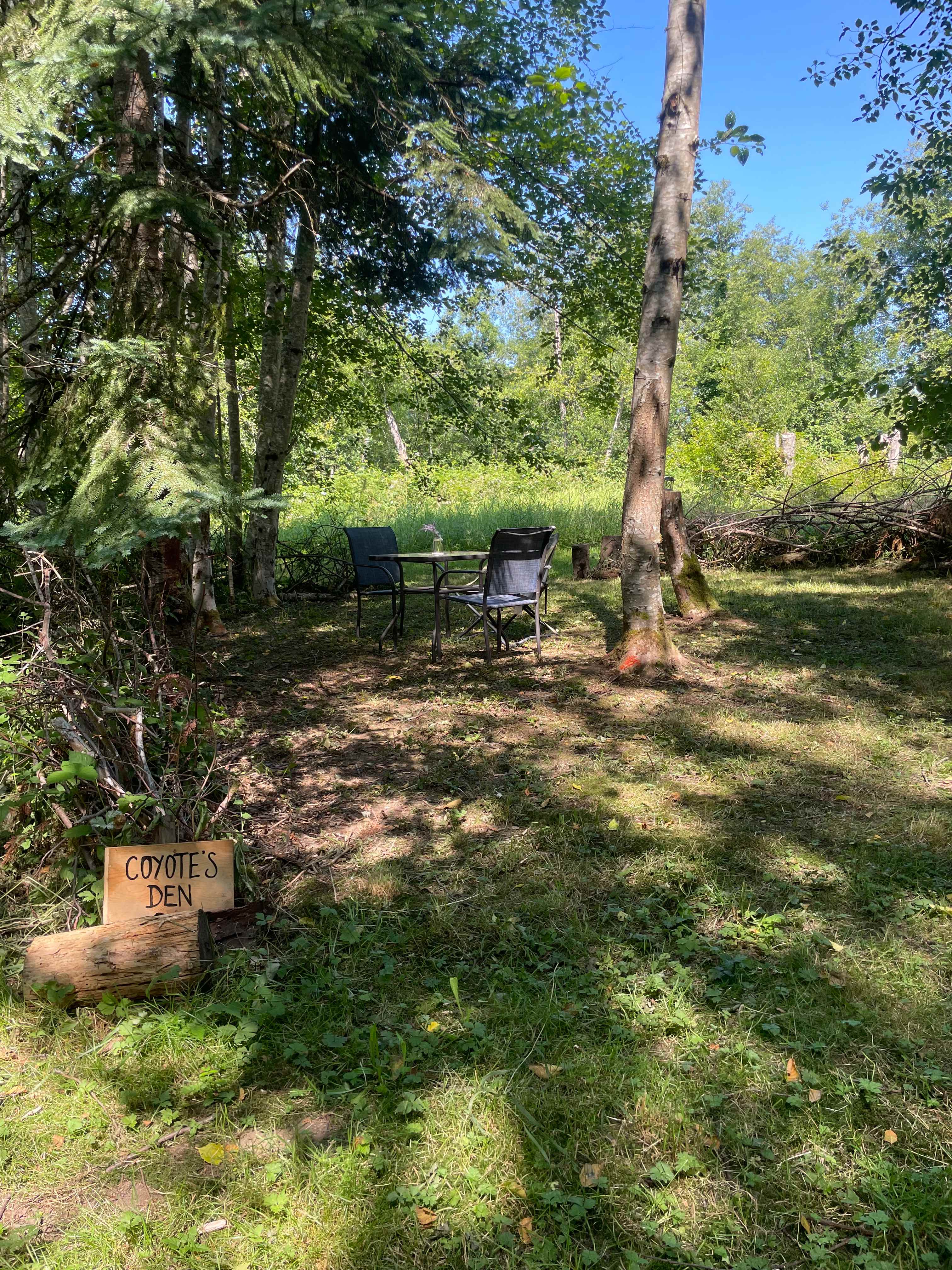 Bumbleberry Woods Camp