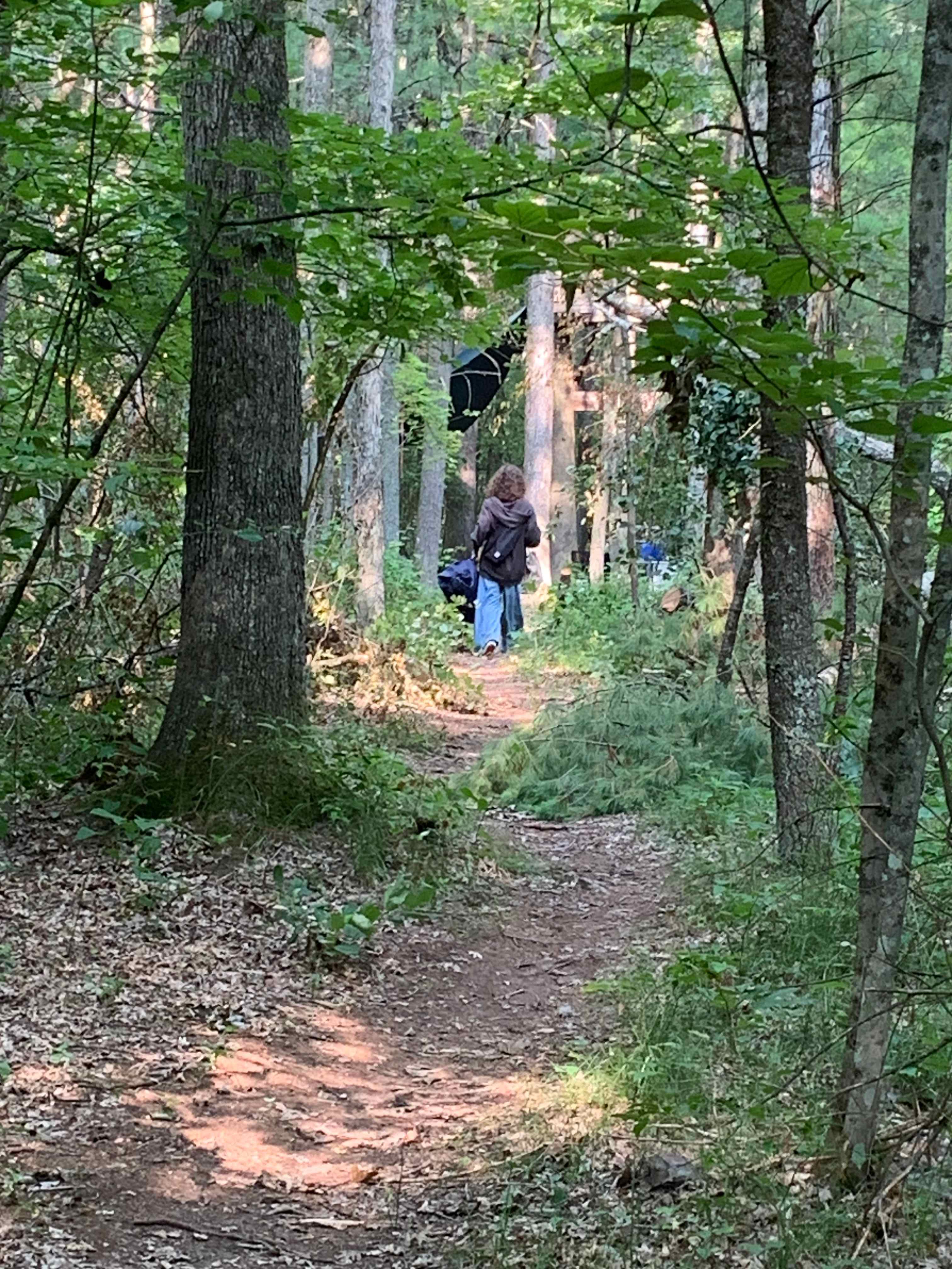 Trail to the treehouse