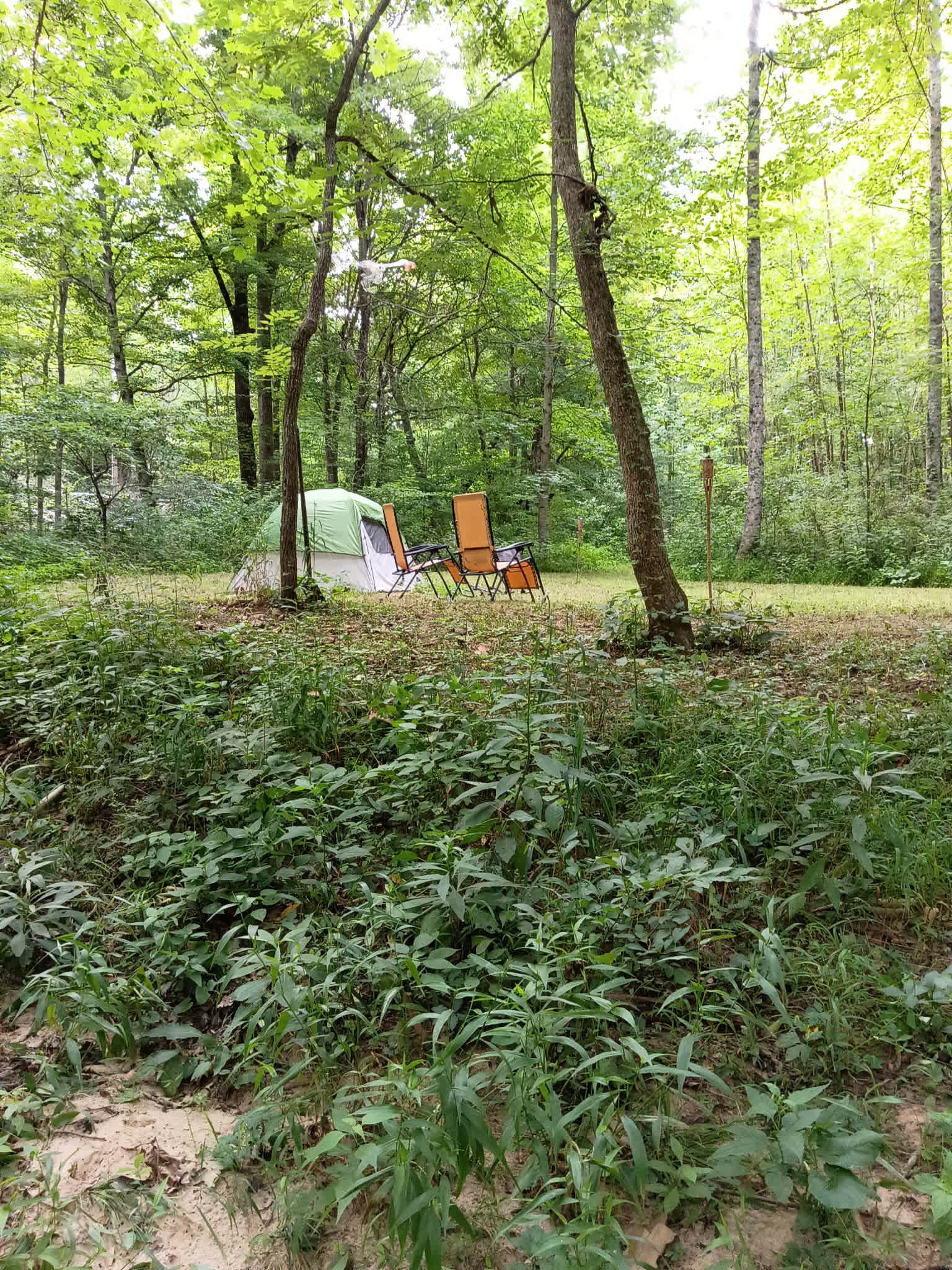 Wander-land at Wildflower Creations