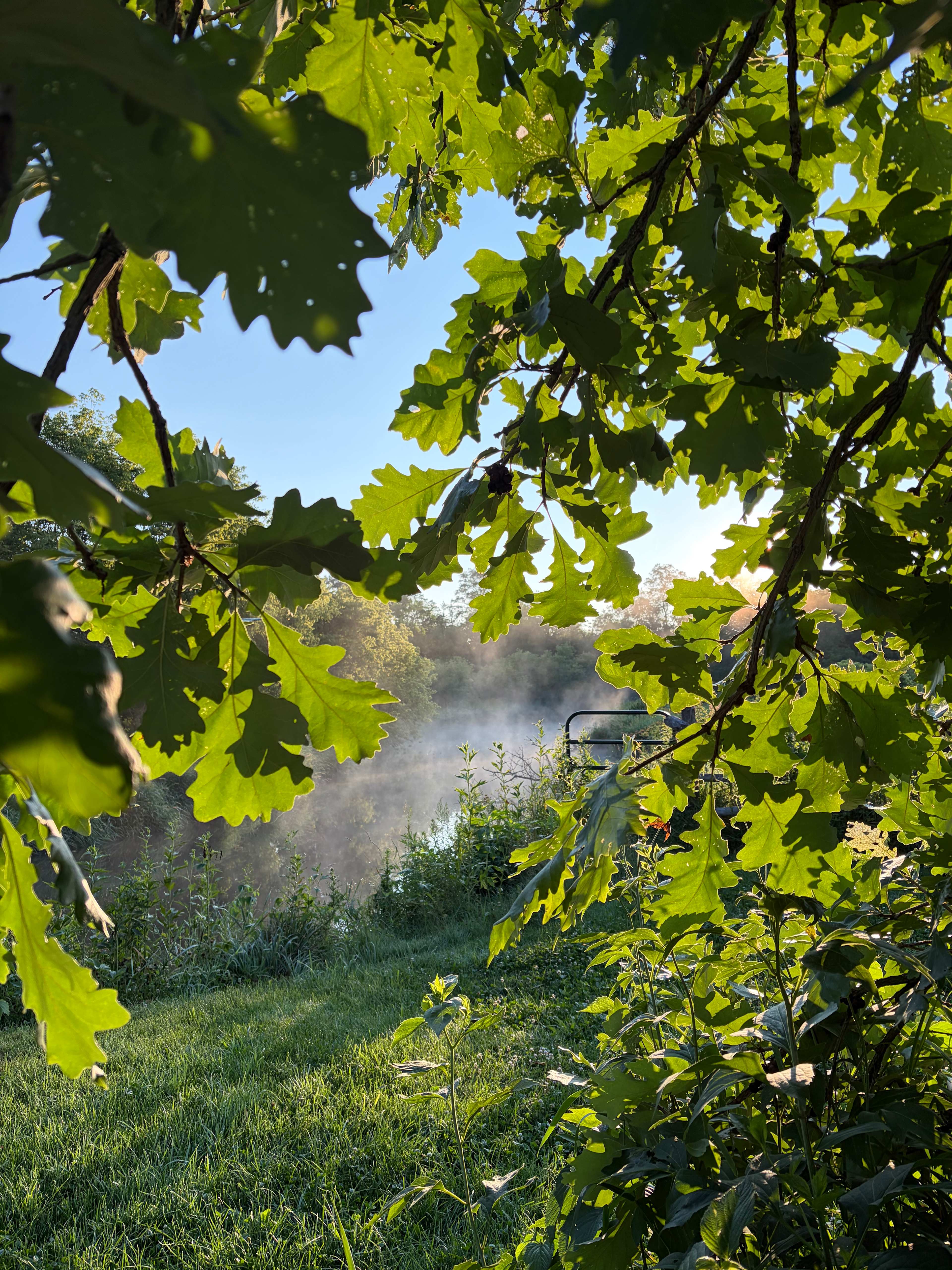 Pink River Ranch in the Driftless