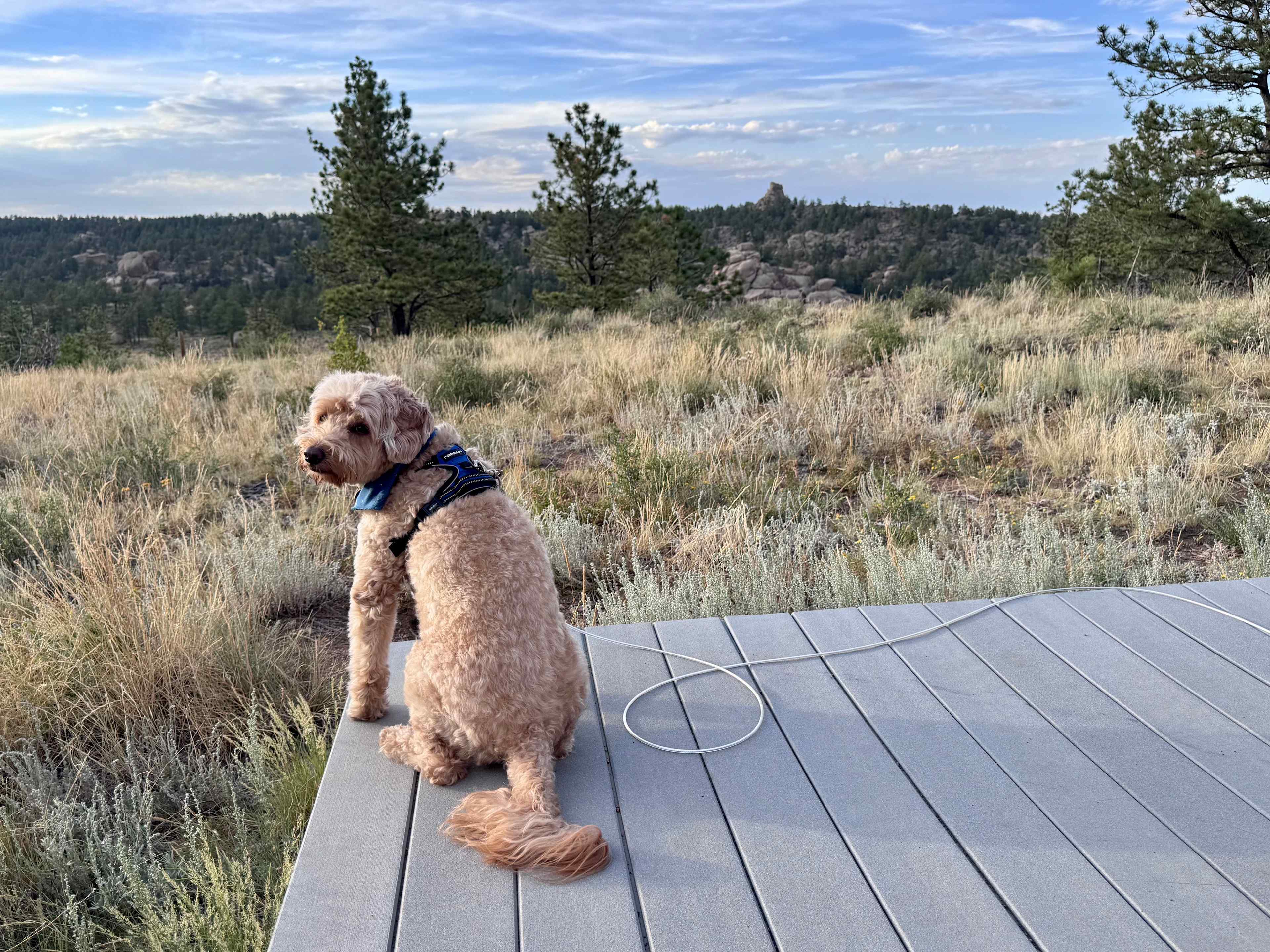 Buford Canyon