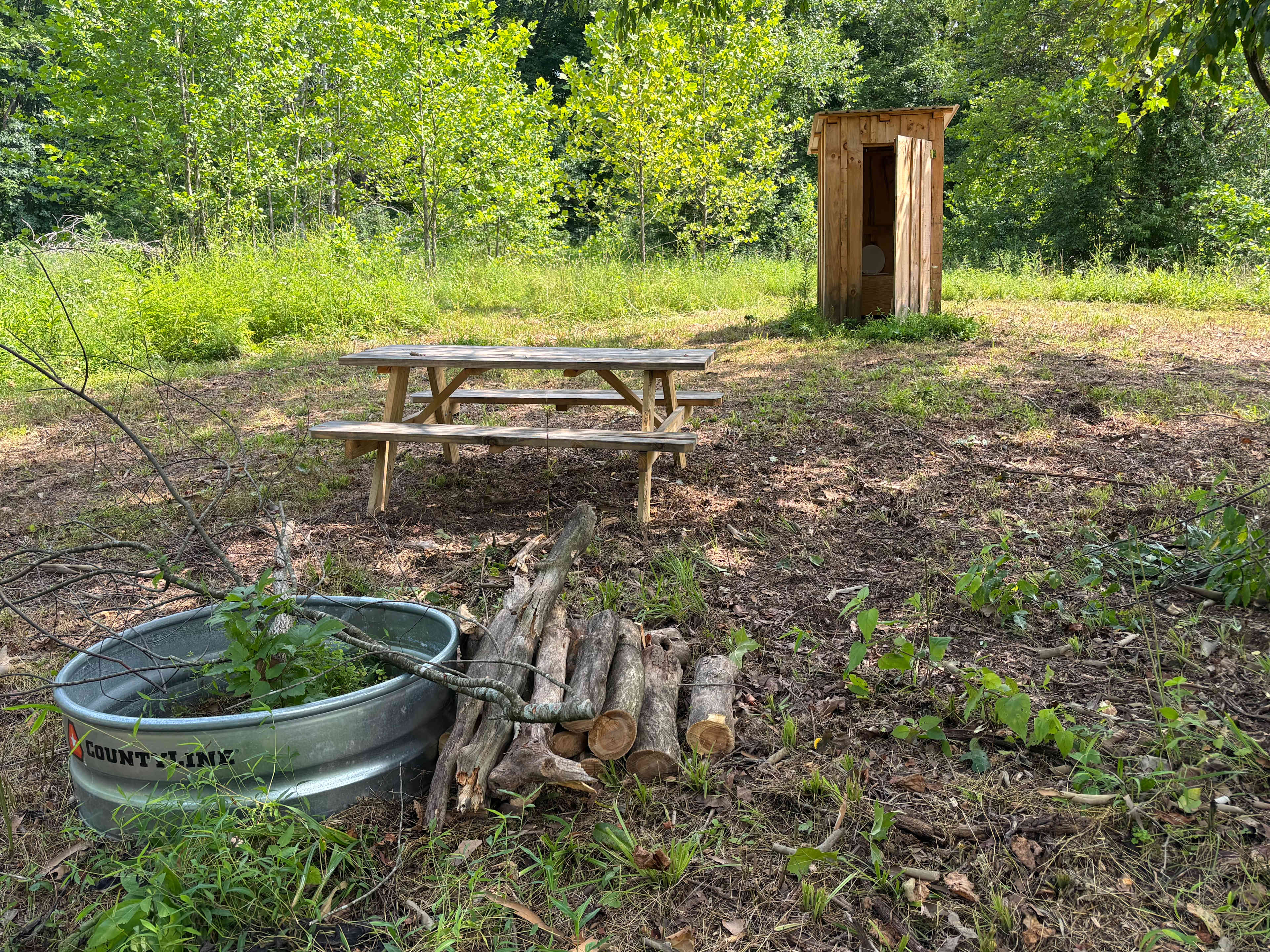 Picture of the site