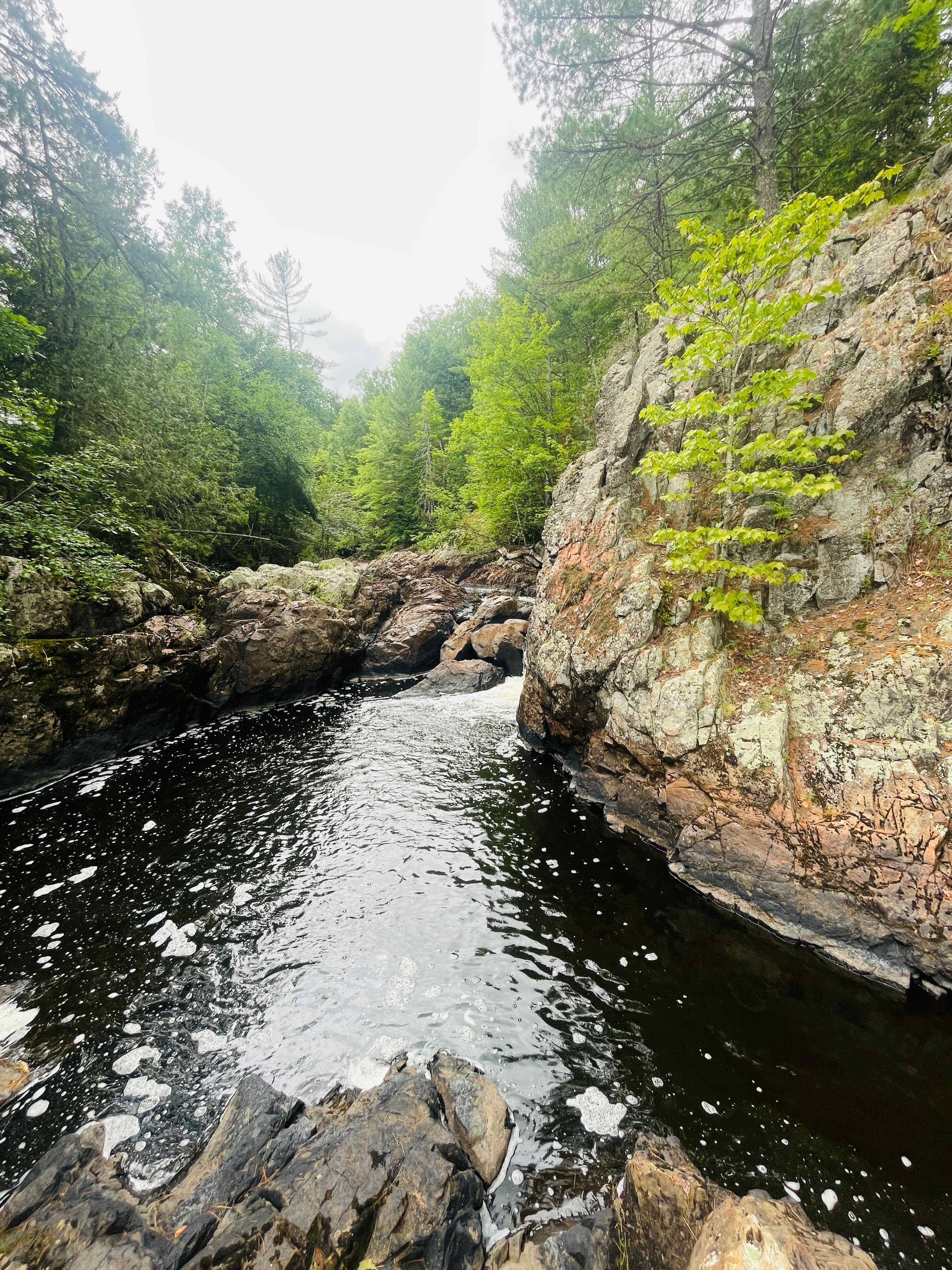 Bad River Wilderness
