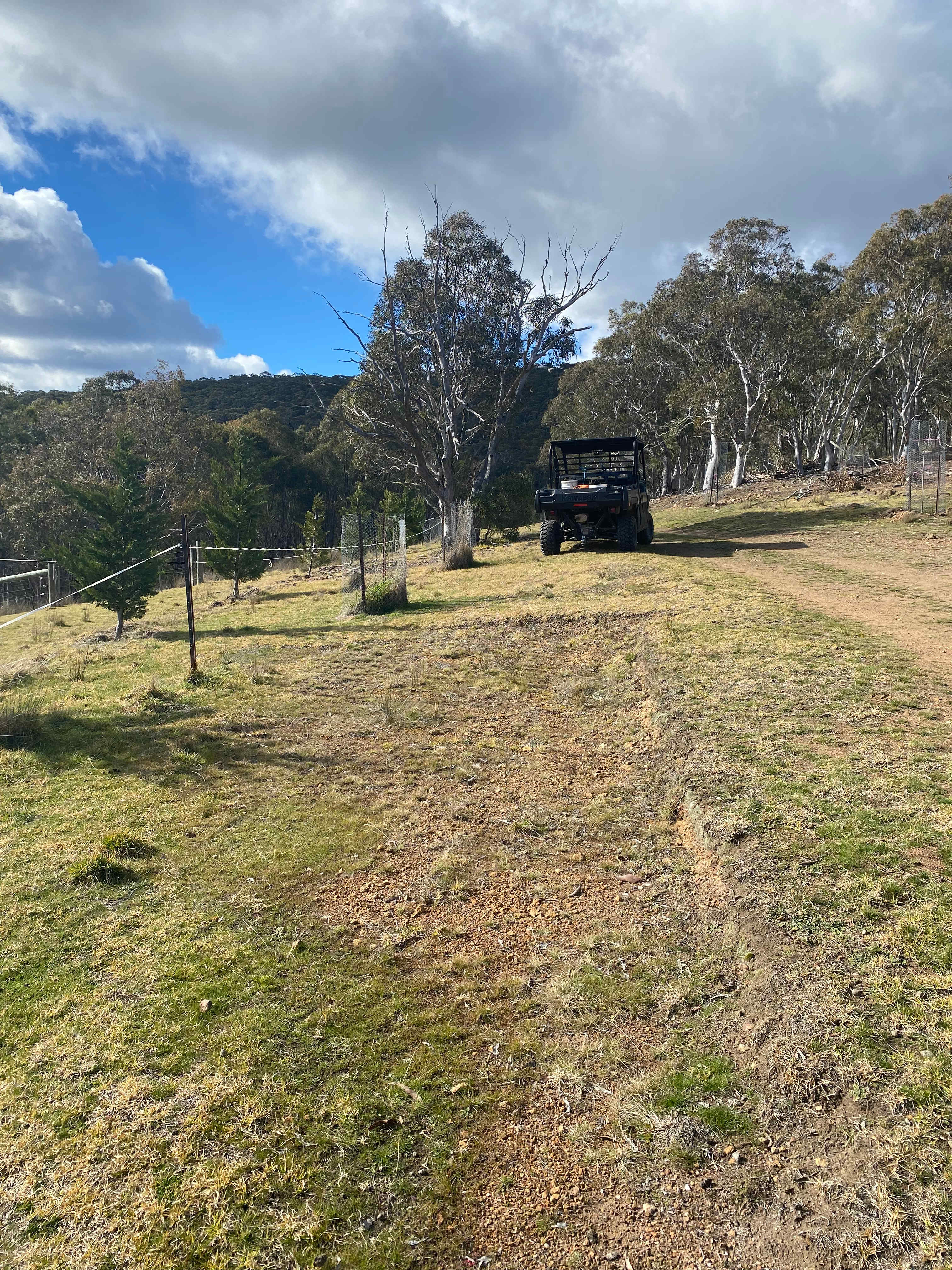 Picture of the site