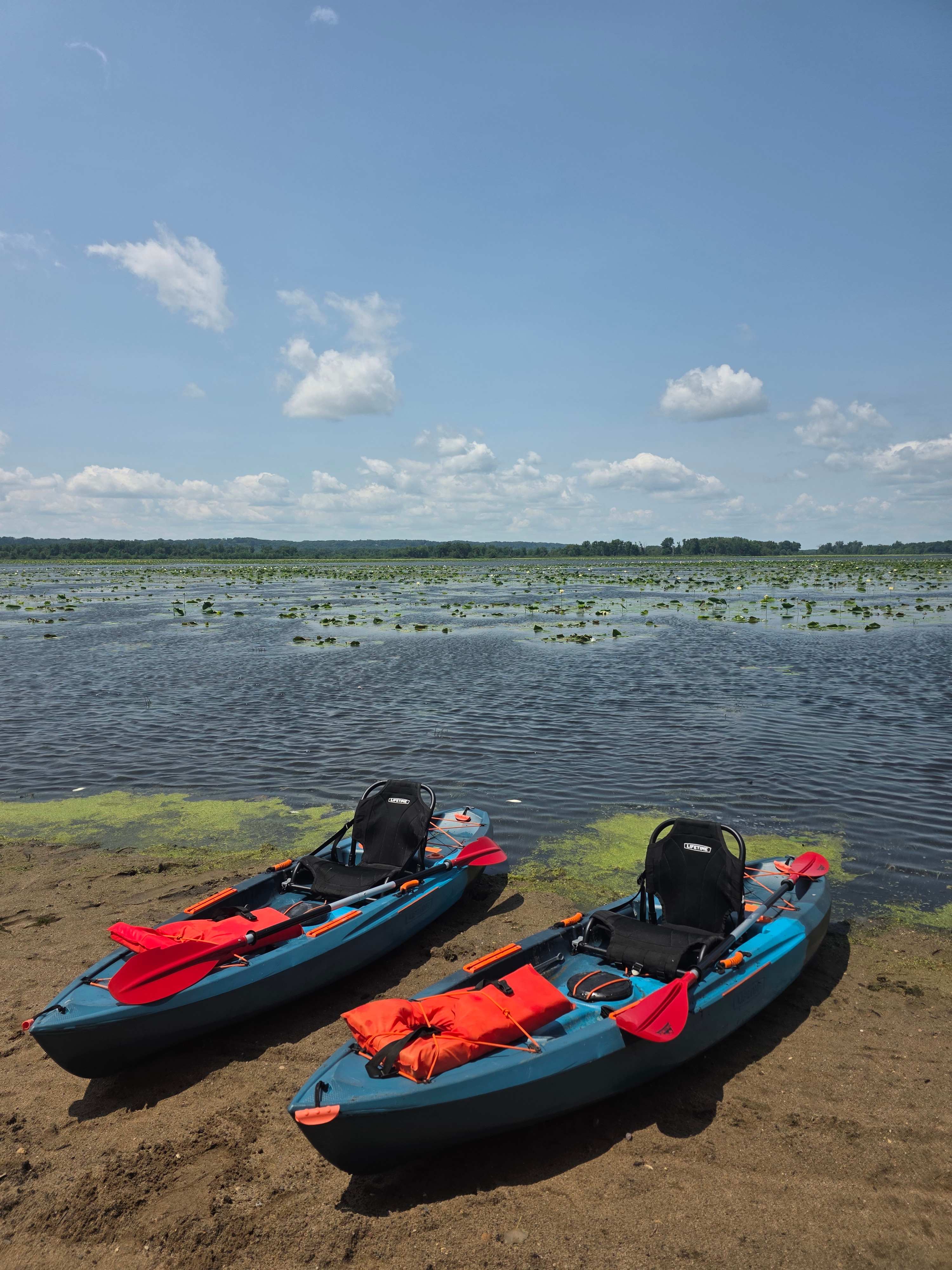 Renting the kayaks is a must!