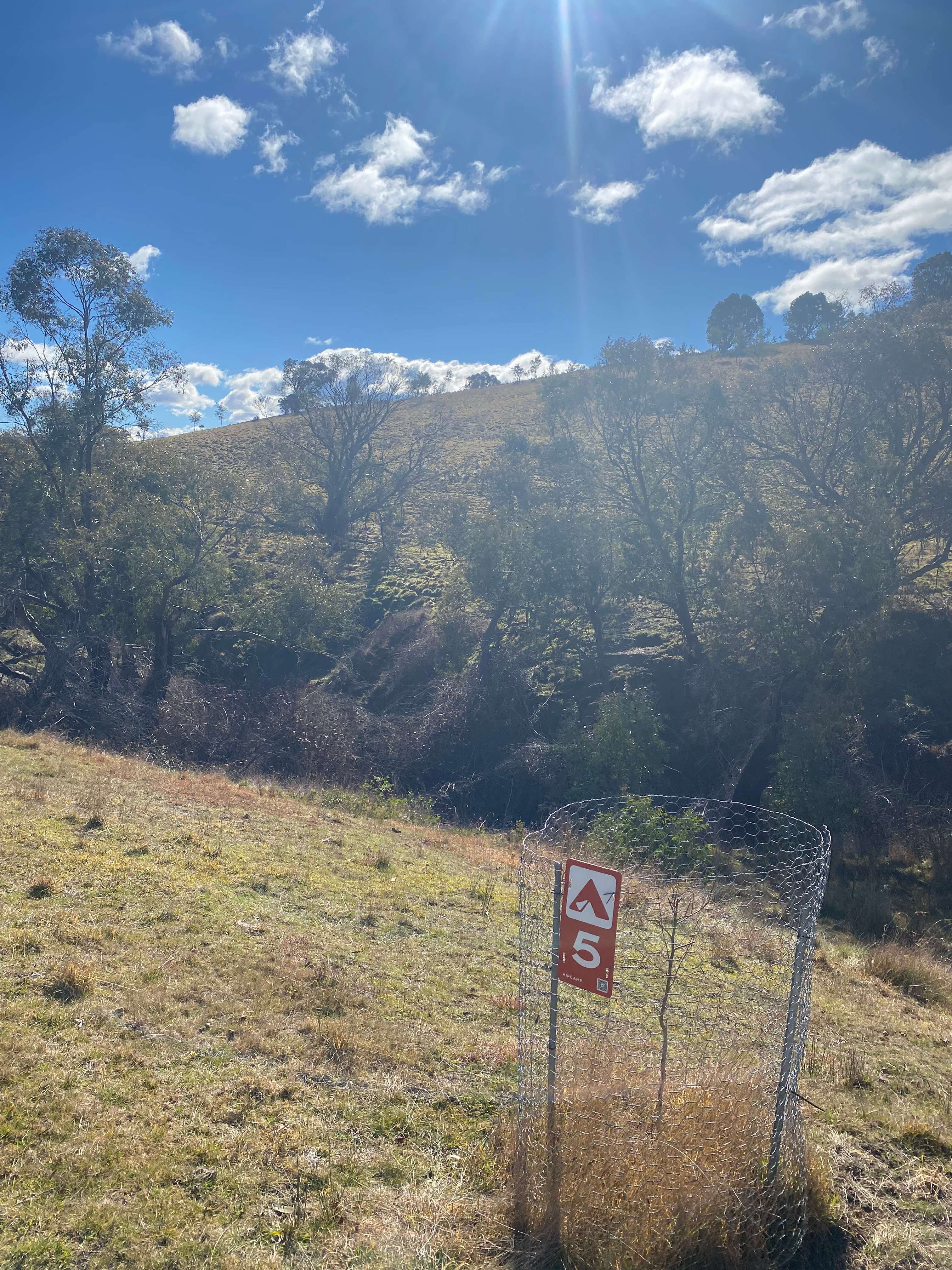 Picture of the site