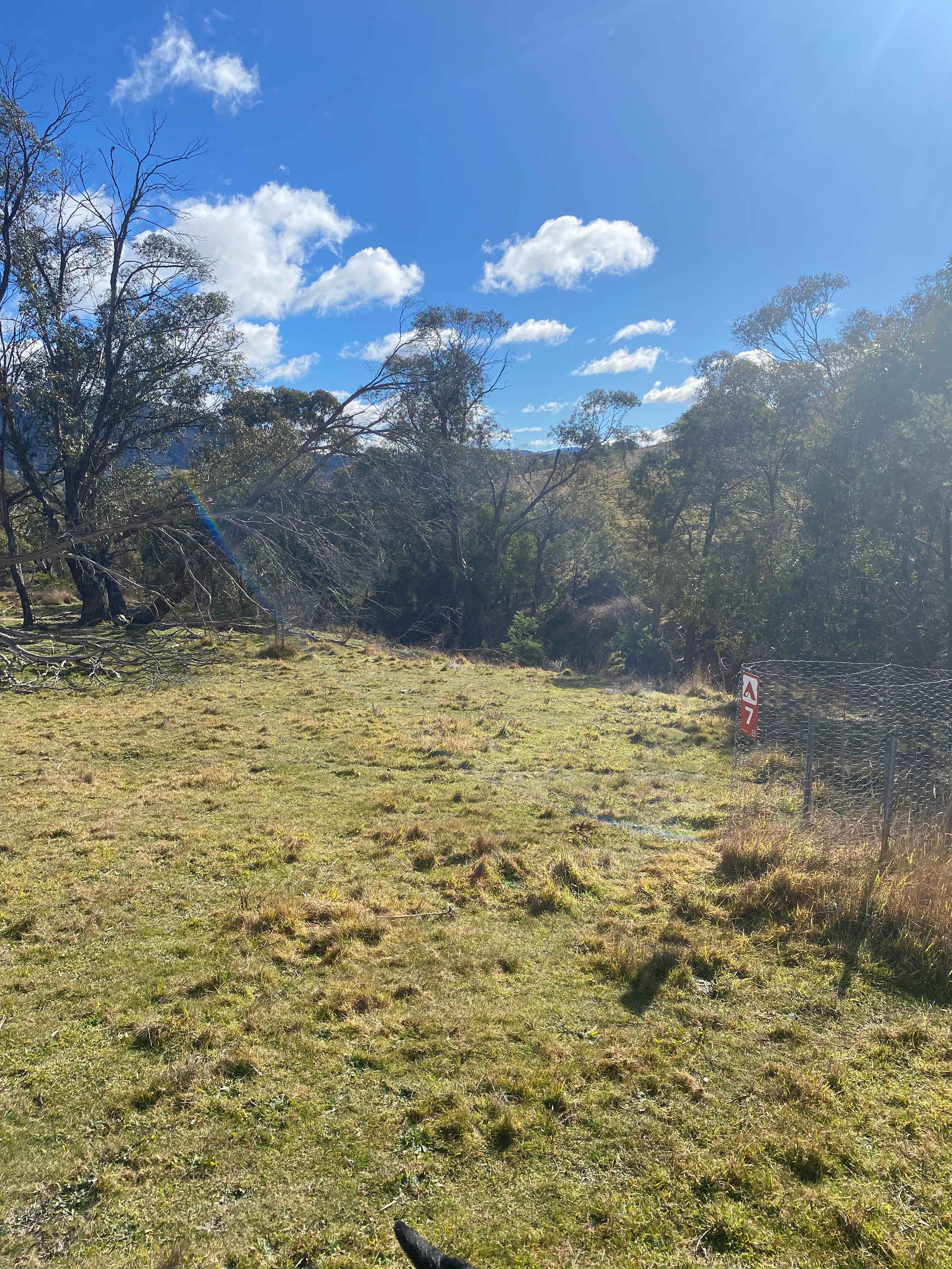 Picture of the site