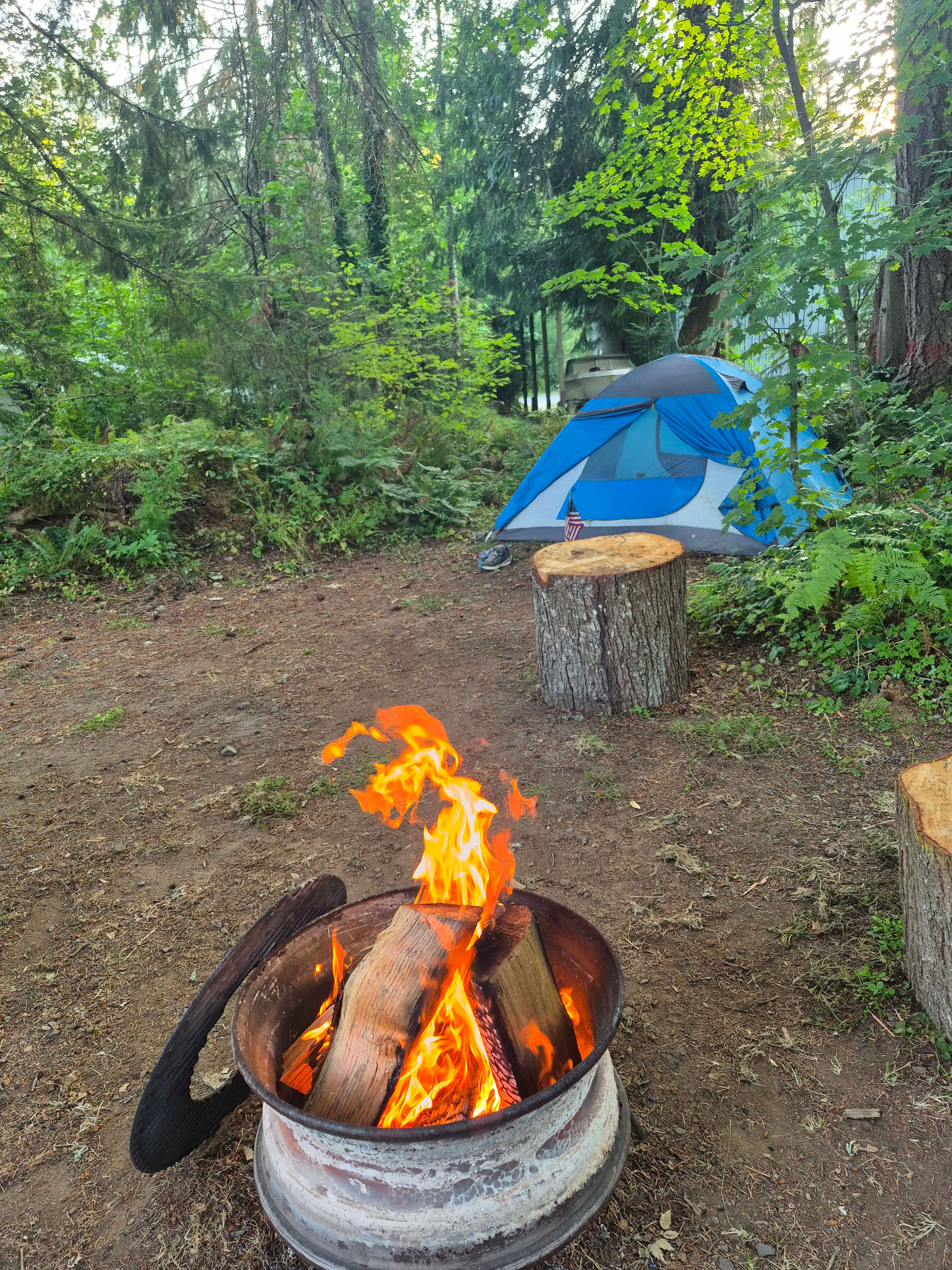 Site 4. Shaded.