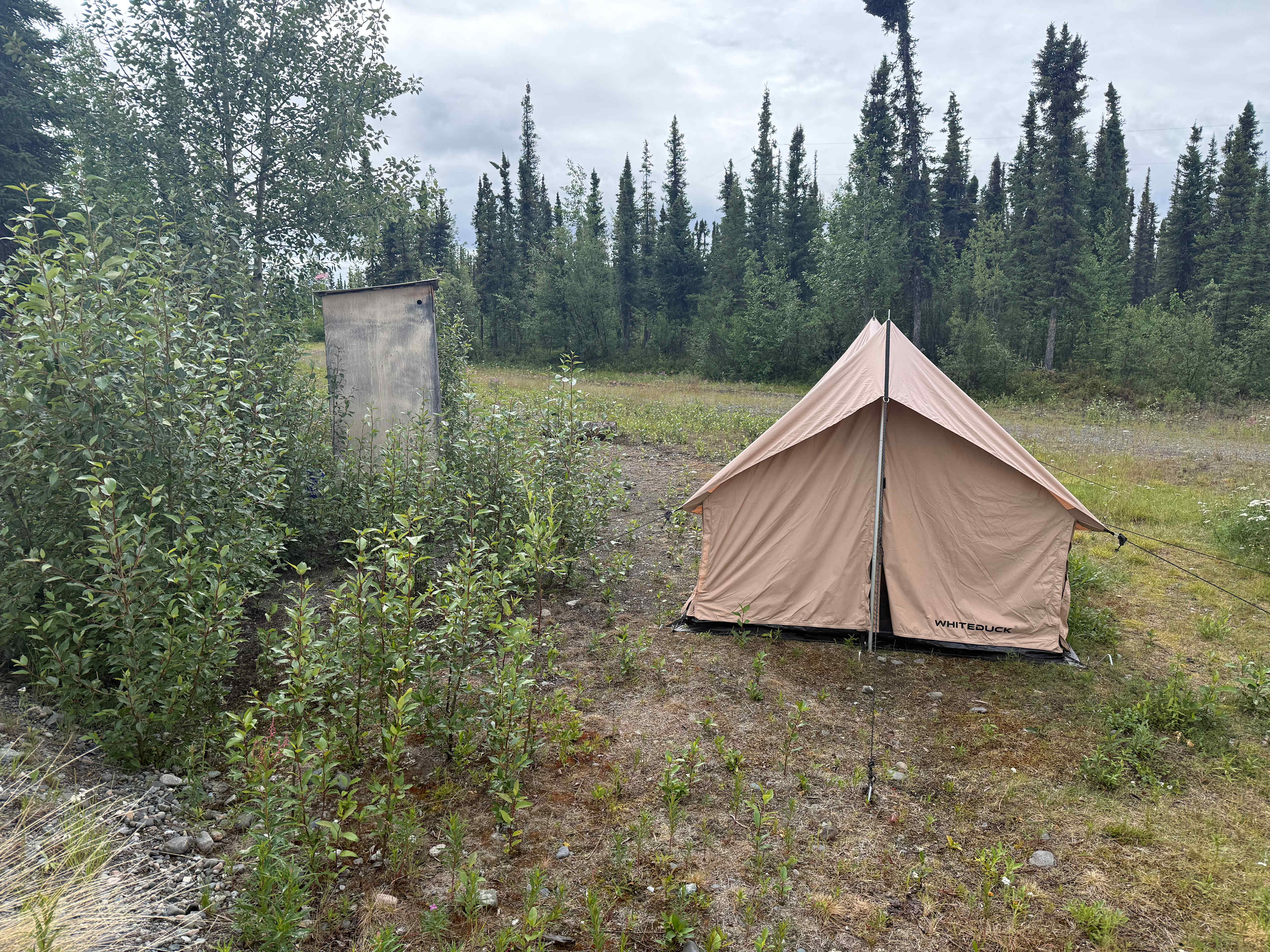 Picture of the site
