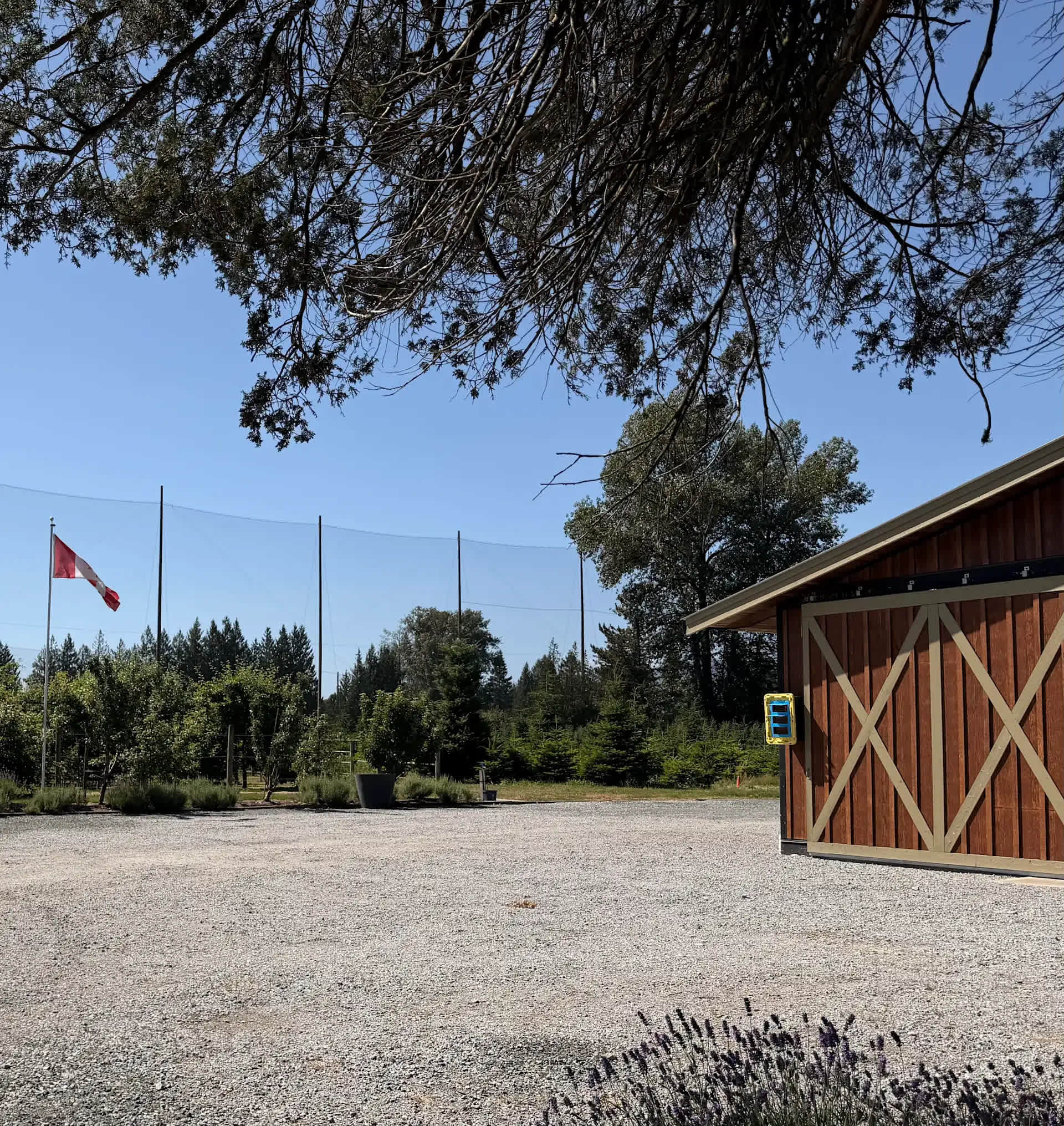 Picture of the site