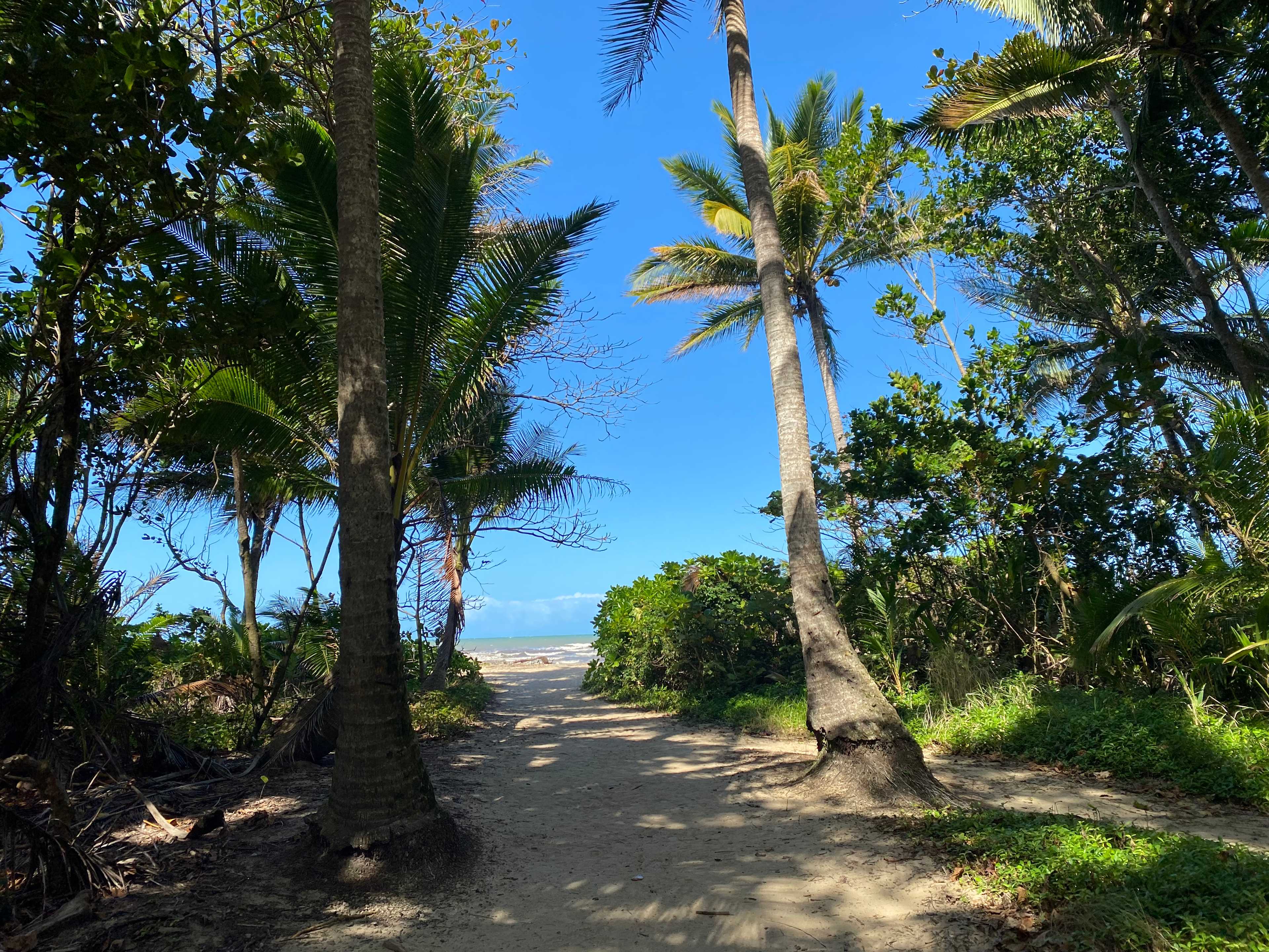 Daintree Beach Resort