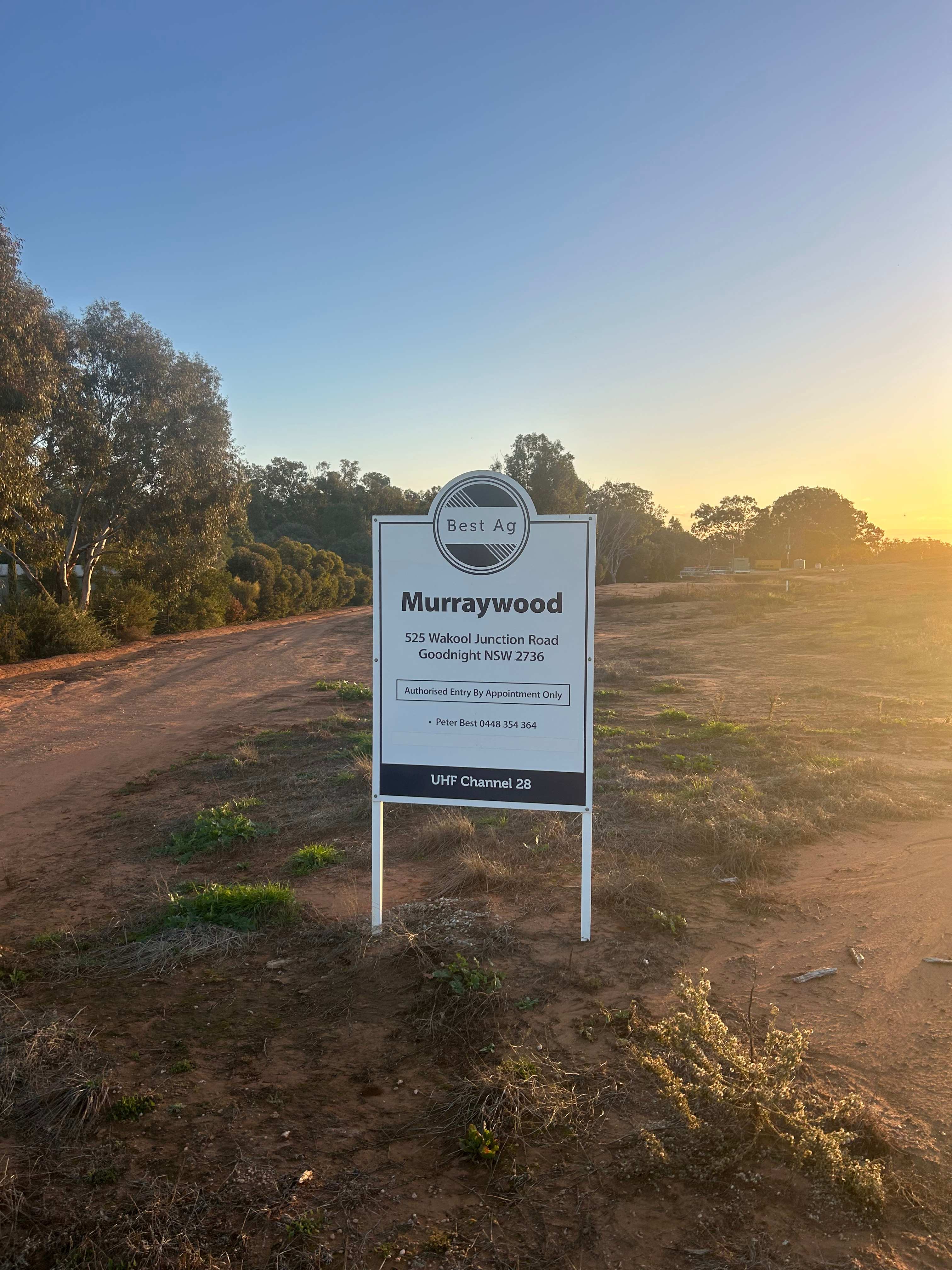 Picture of the site